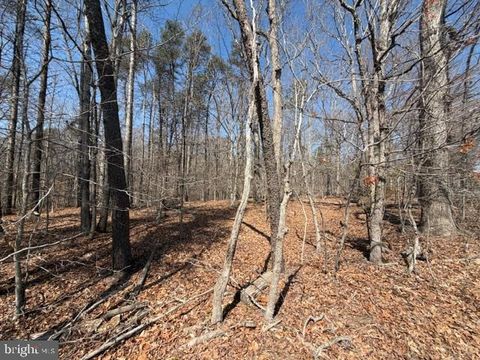 Vacant Land For Sale - Countryside Lane - Lot 2<br/> LIGNUM, VA 22726