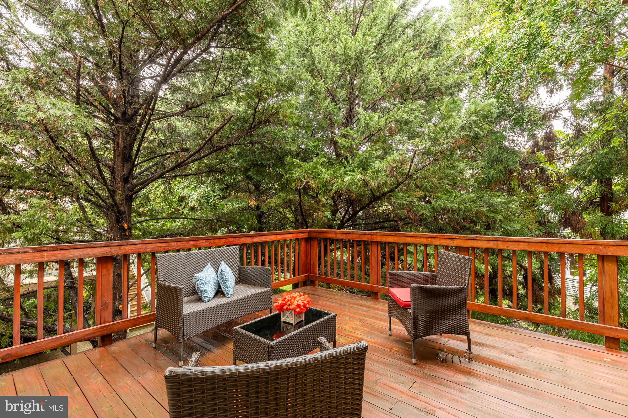 SOUTH WOODSIDE PARK - Residential