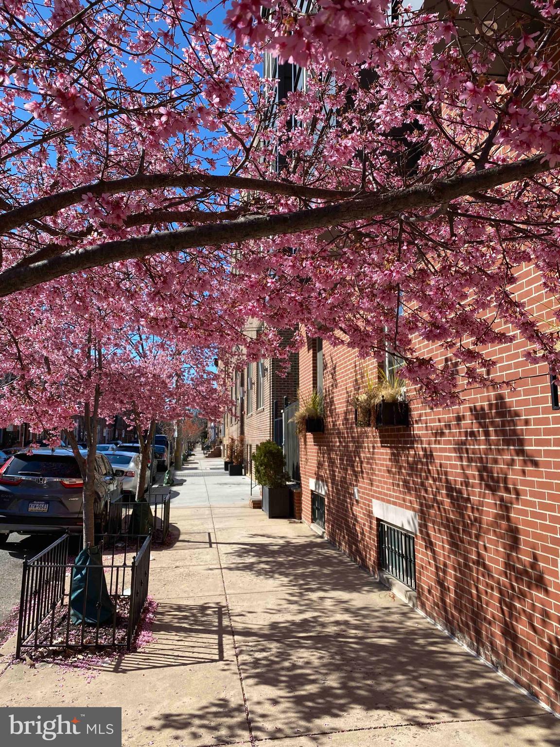 GRADUATE HOSPITAL - Residential