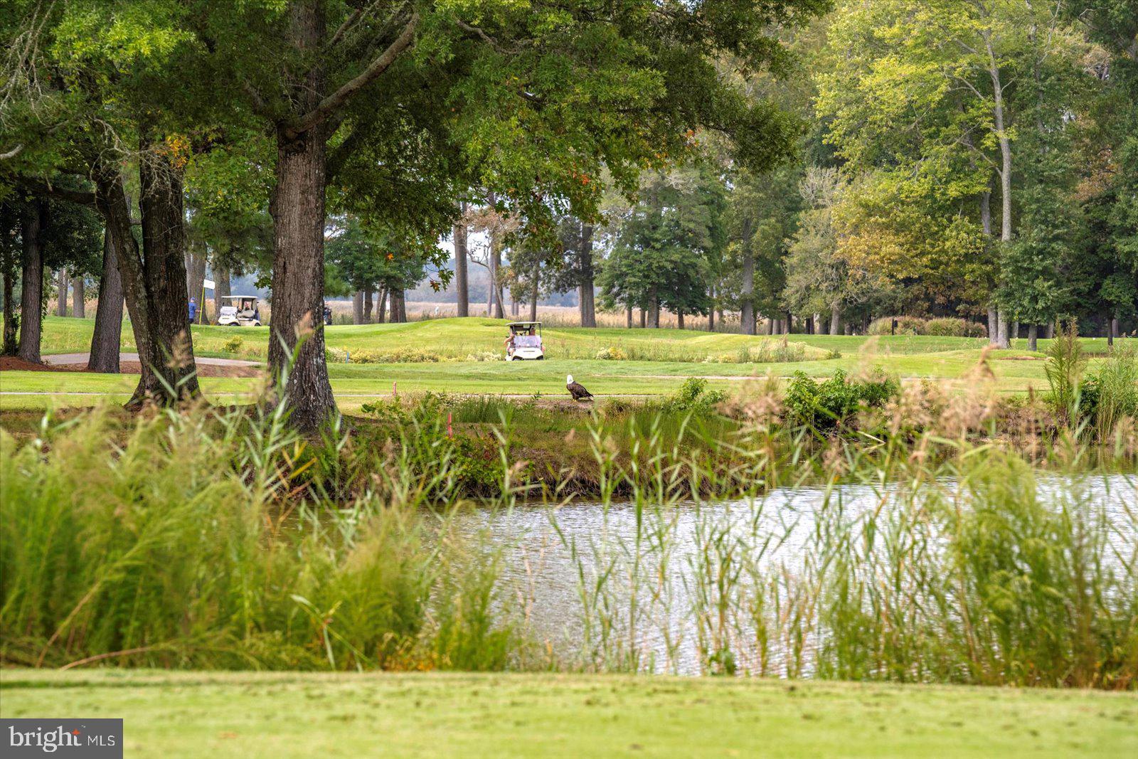 GOLF CLUB SHORES III - Residential