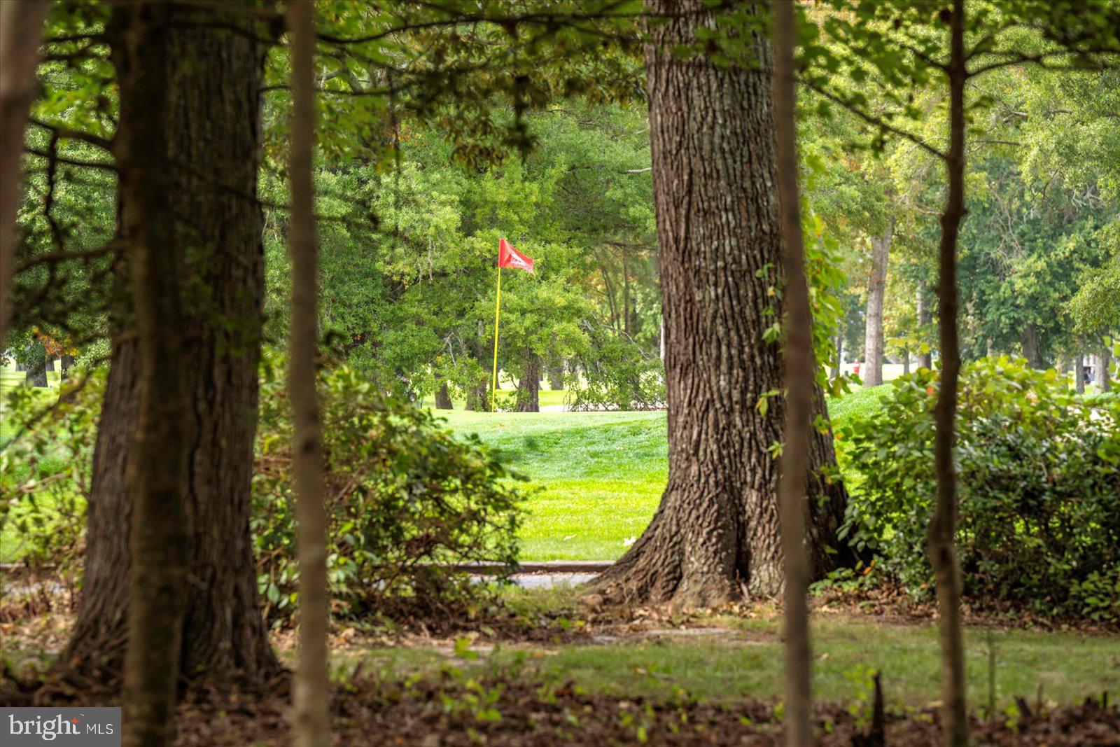 GOLF CLUB SHORES III - Residential