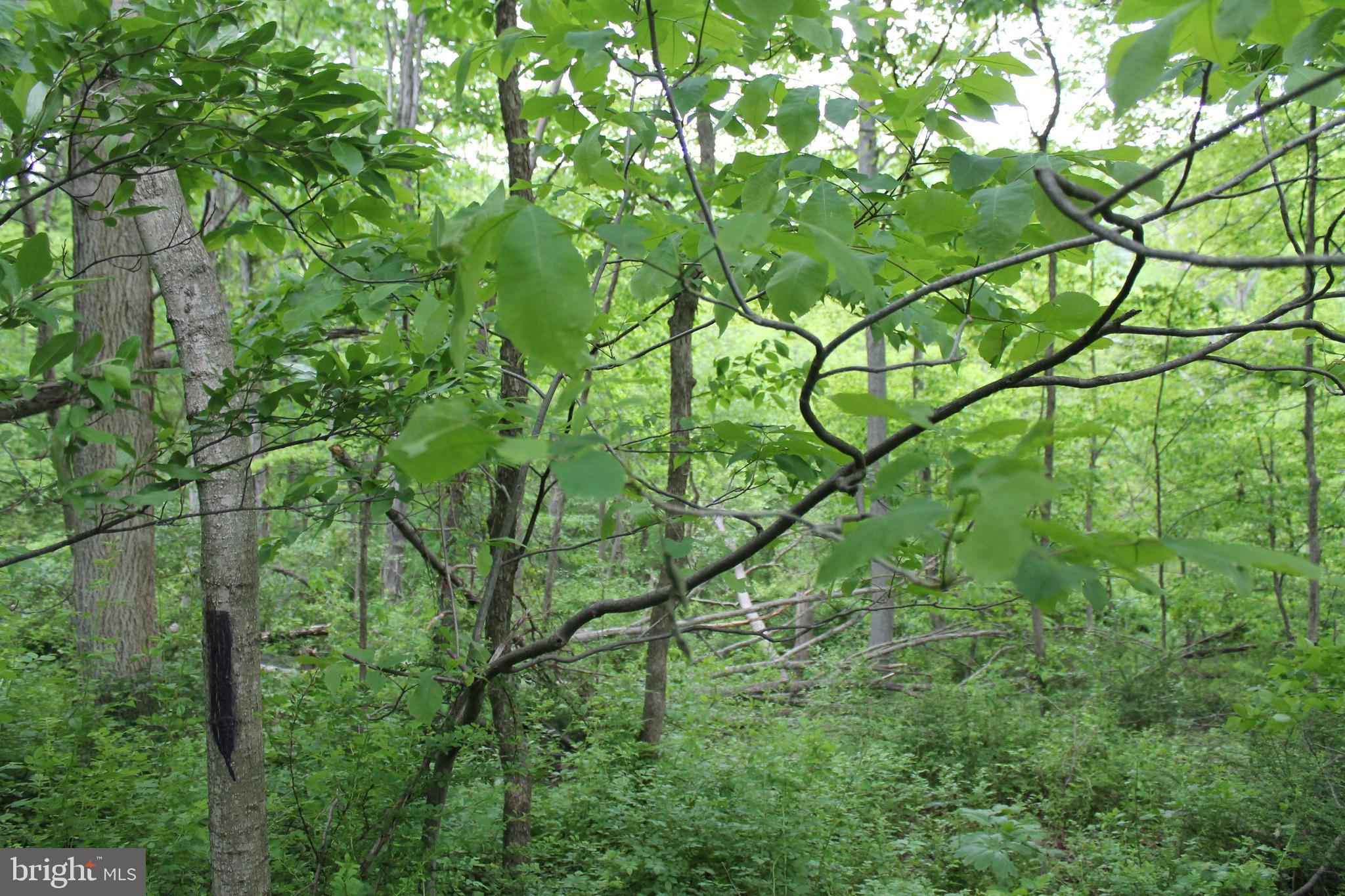 00 BLACK VALLEY ROAD