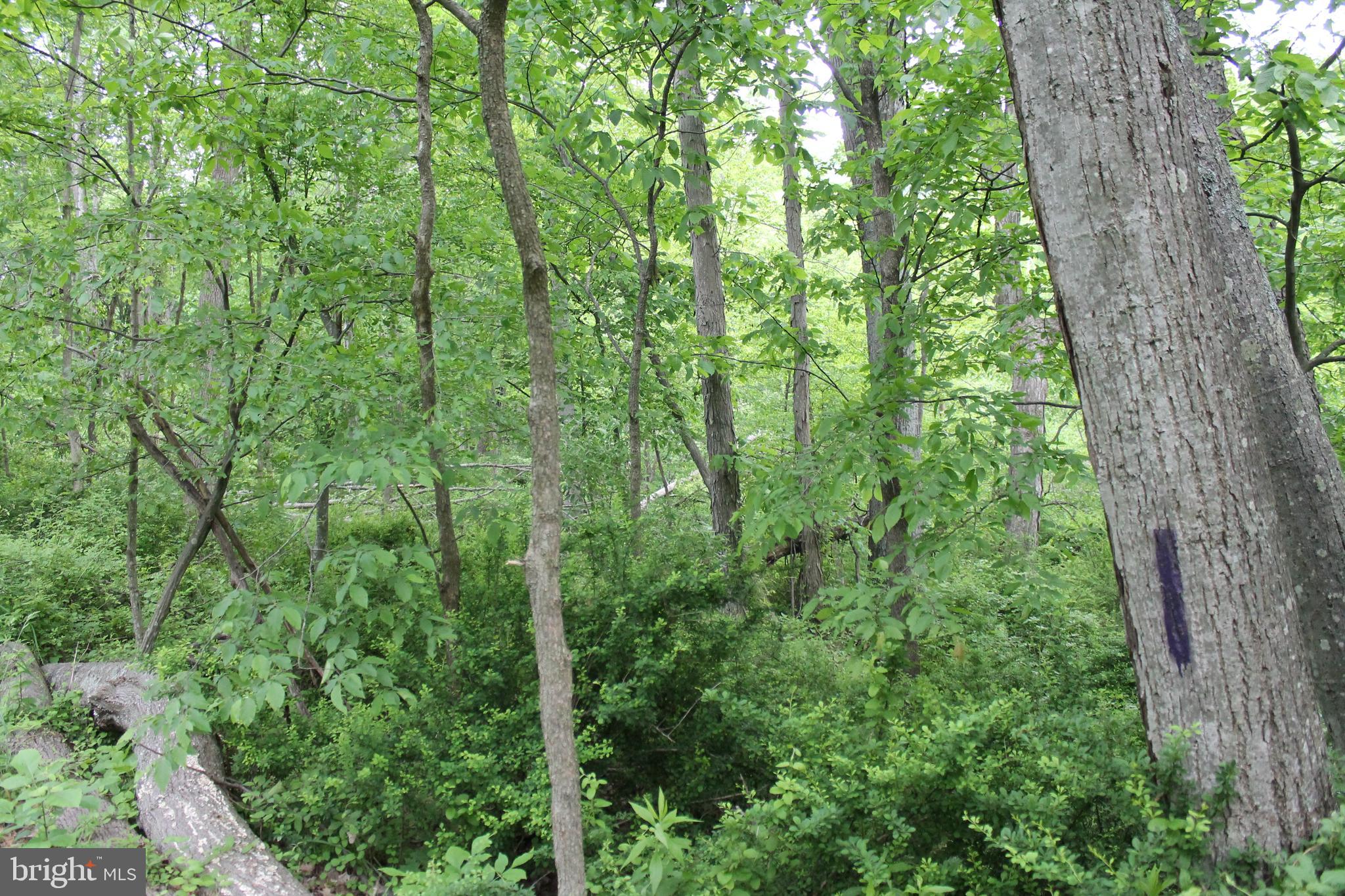 00 BLACK VALLEY ROAD