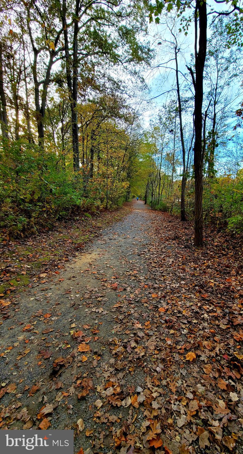 BURKE CENTRE - Residential Lease