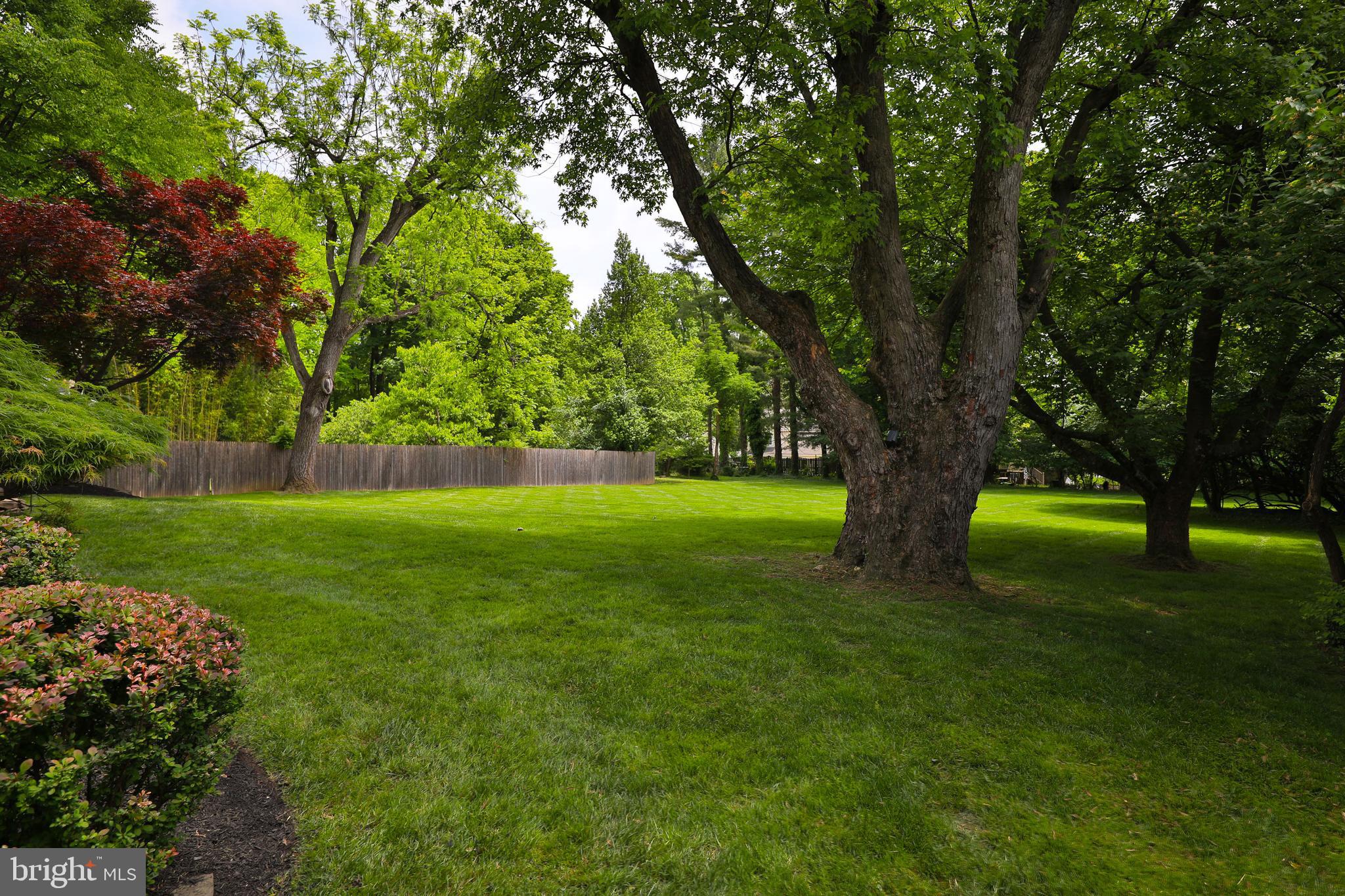 ELKINS PARK - Residential