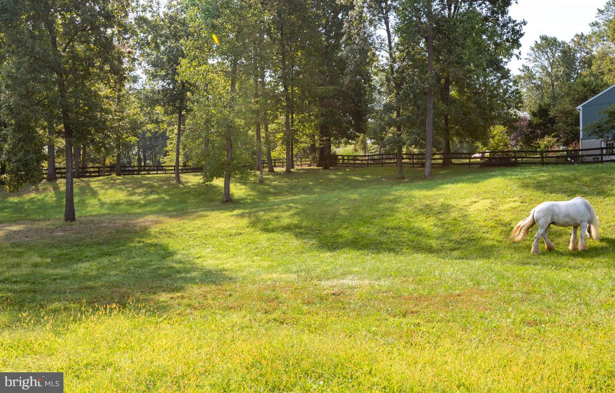 NOKESVILLE - Residential