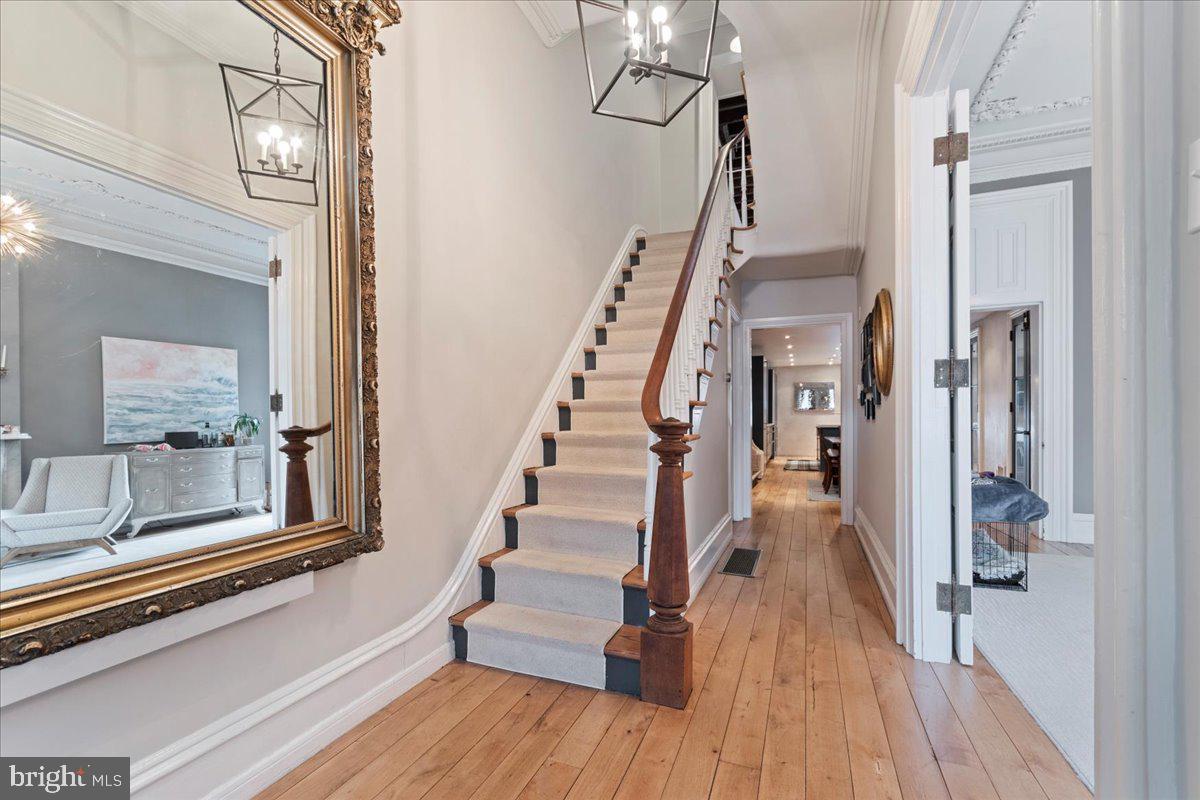 ART MUSEUM AREA - Residential