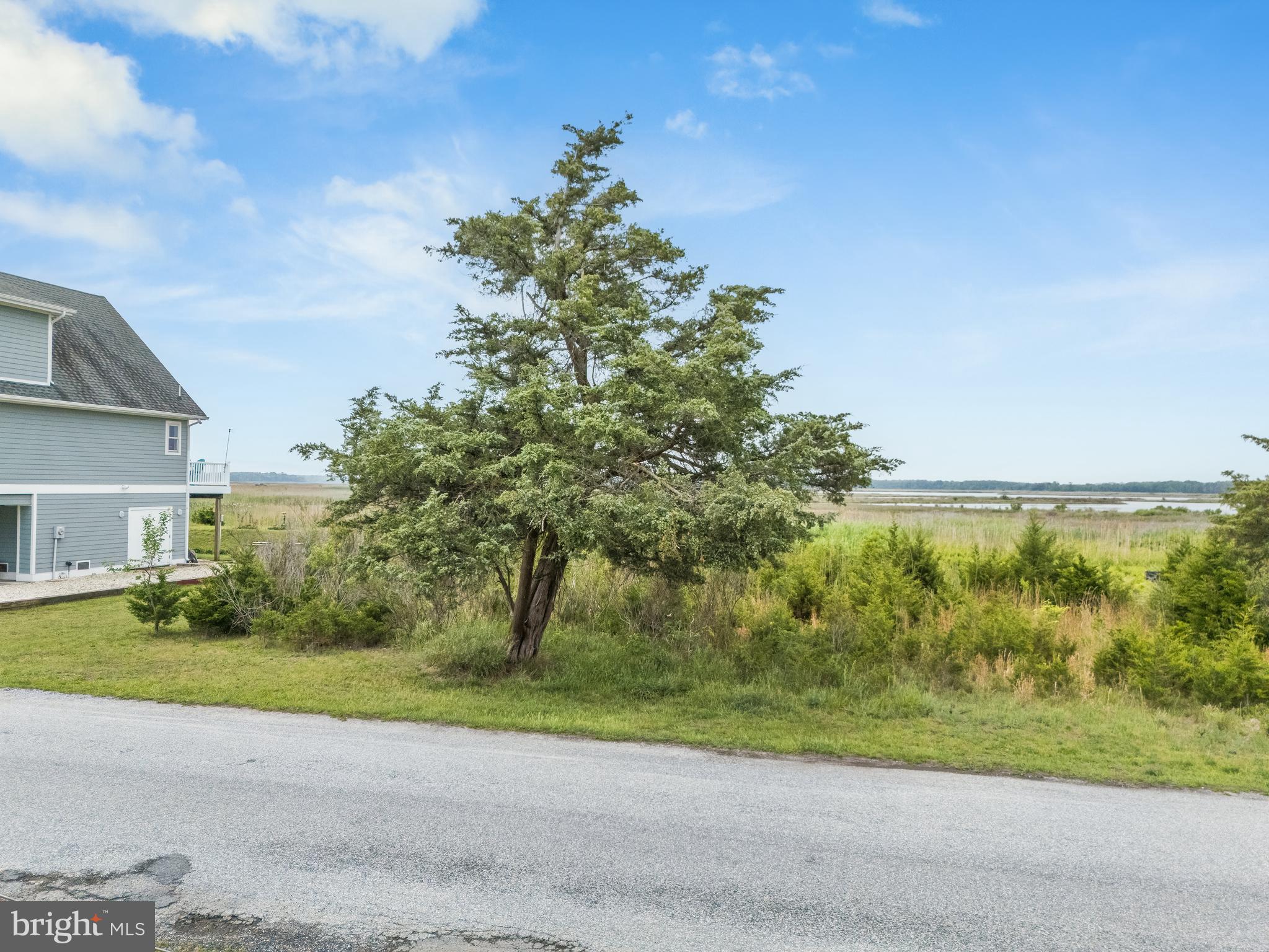 PRIMEHOOK BEACH - Land