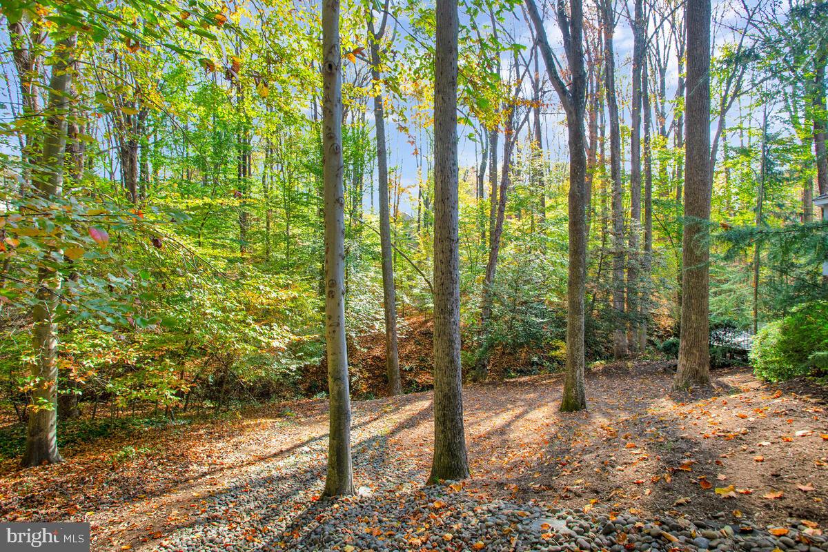 CRANBERRY WOODS - Residential