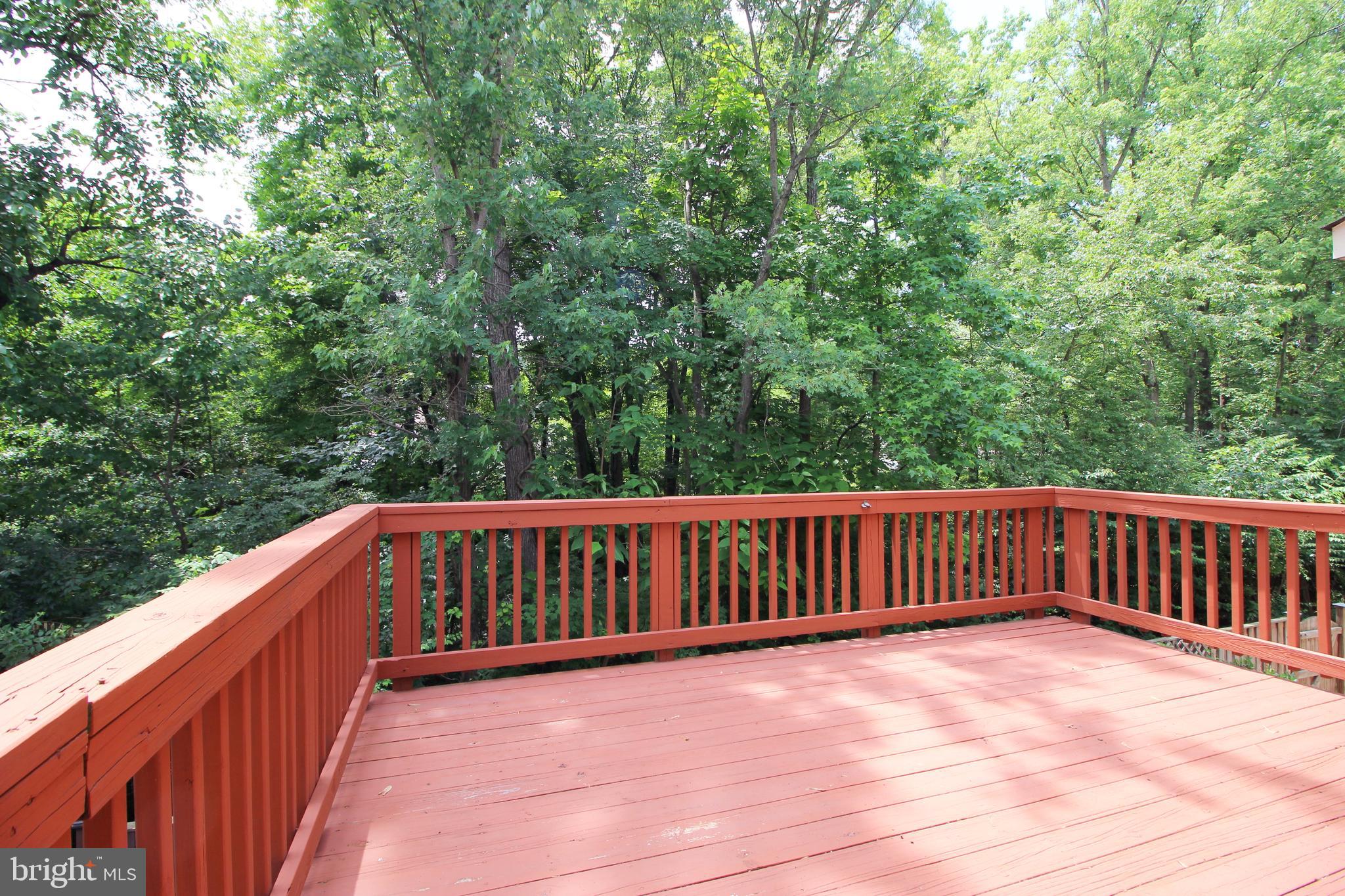 ELMWOOD - Residential Lease