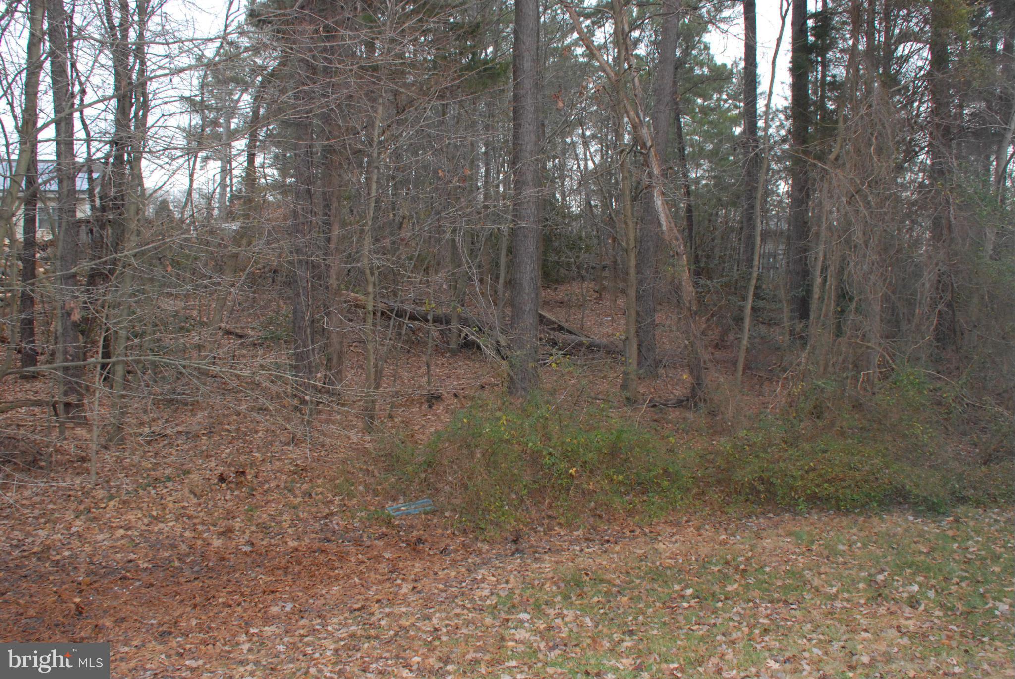 LAUREL GLEN - Residential