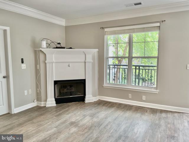 FITZ AT ROCKVILLE TOWN C - Residential Lease