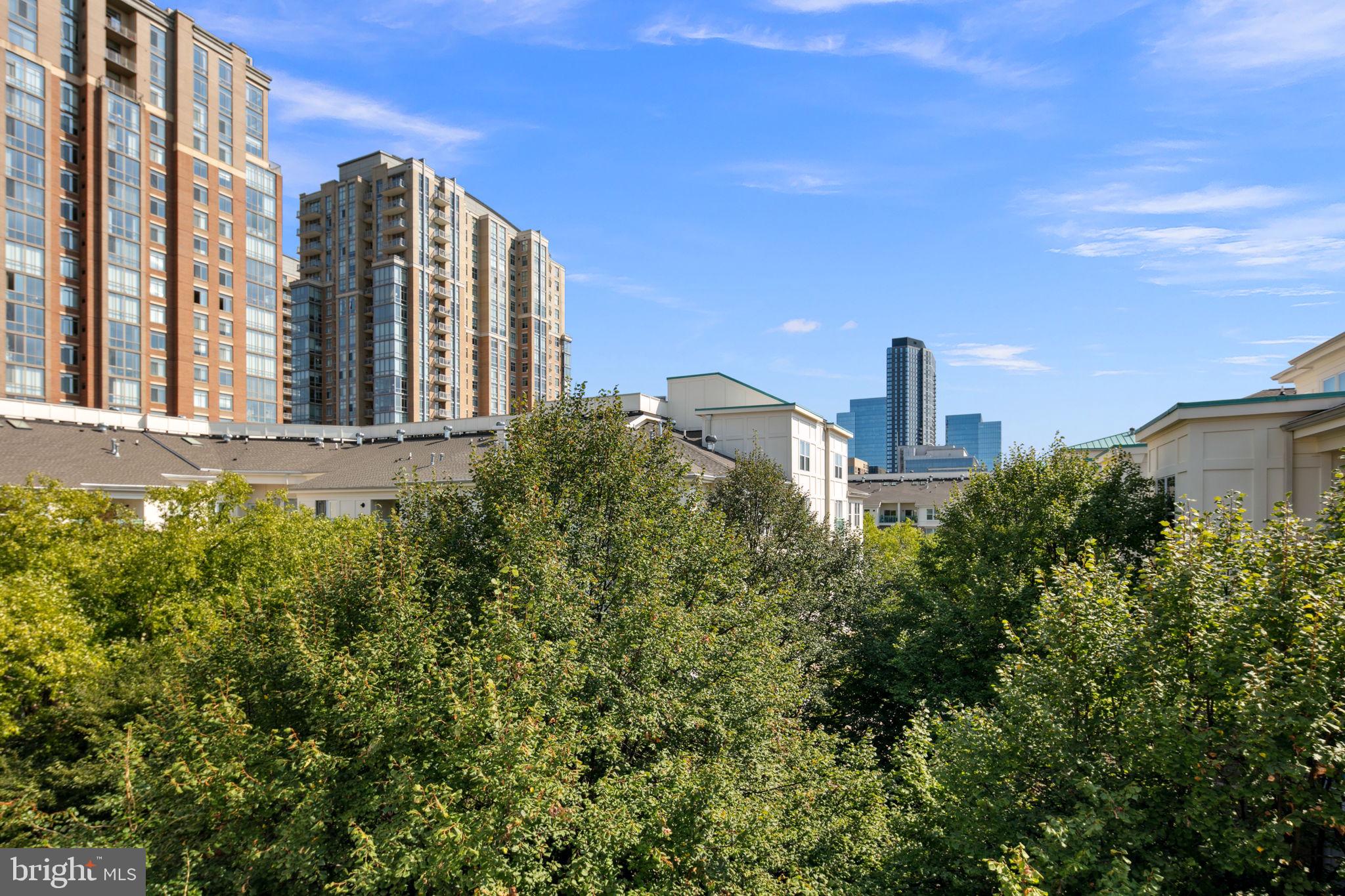 SAVOY AT RESTON TOWN CENTER - Residential