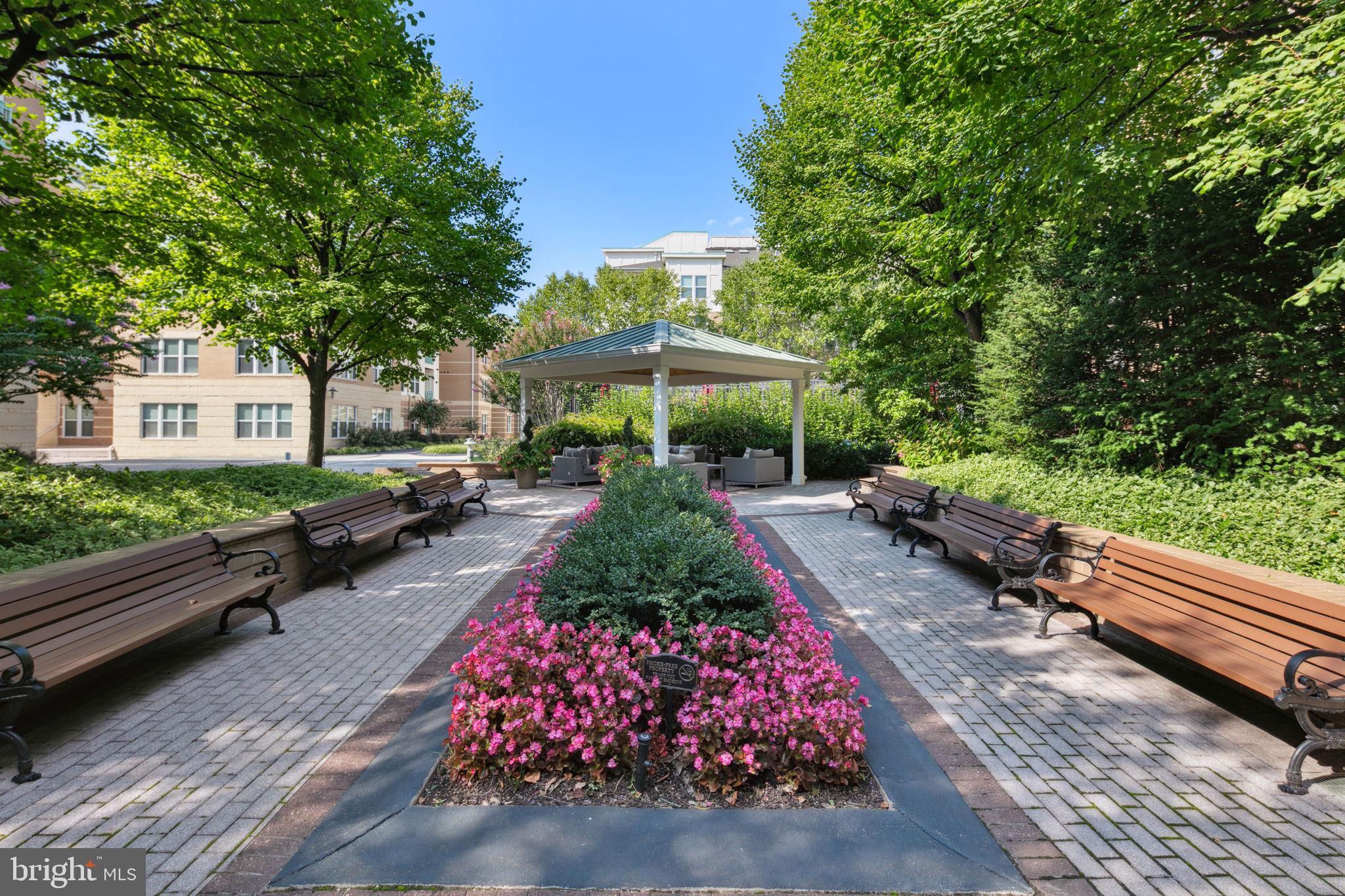 SAVOY AT RESTON TOWN CENTER - Residential