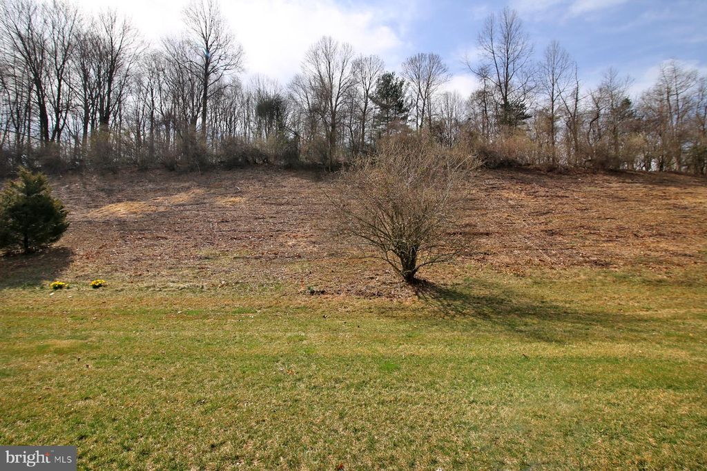 listing image 44