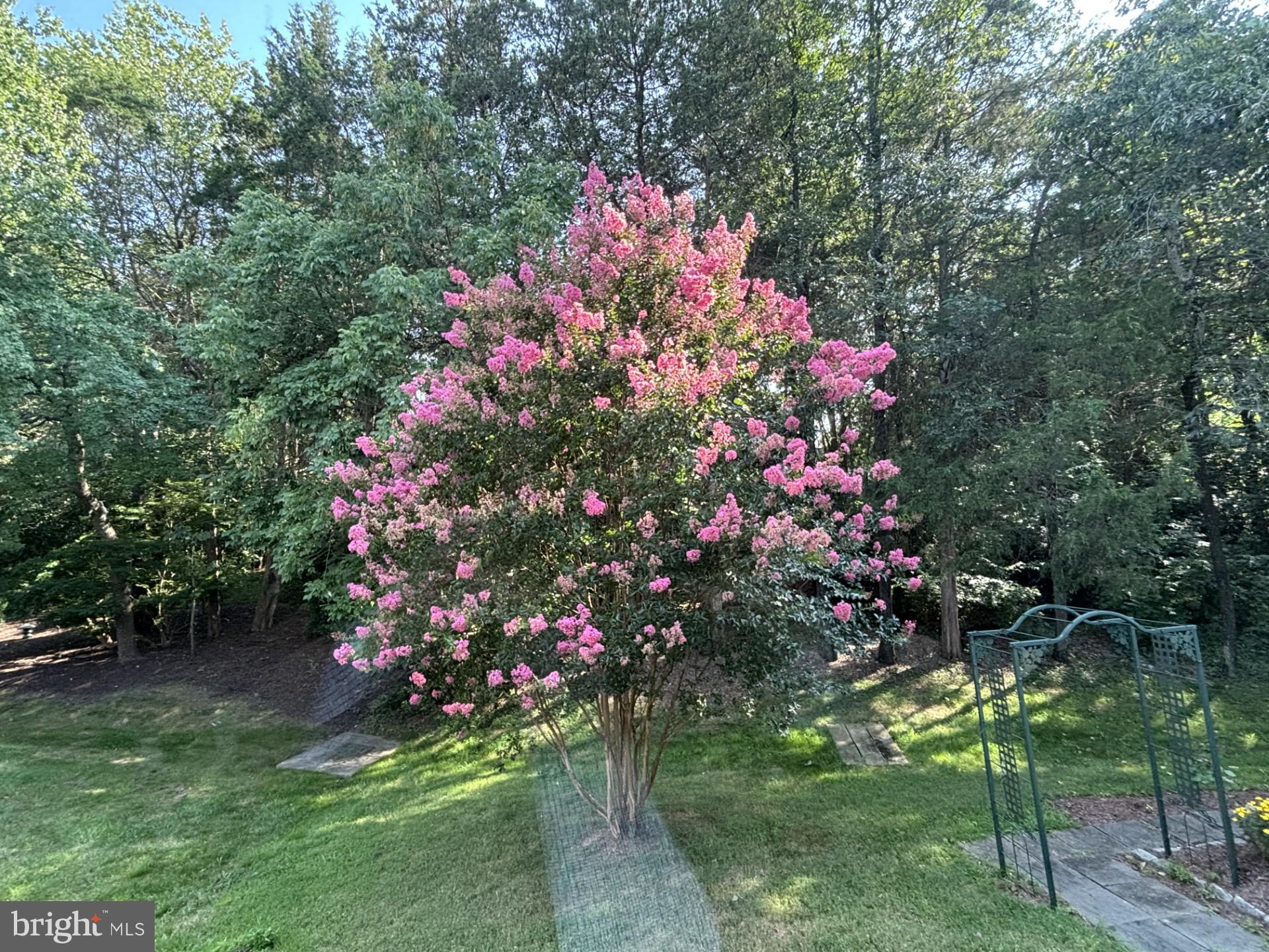 MONROE MANOR - Residential