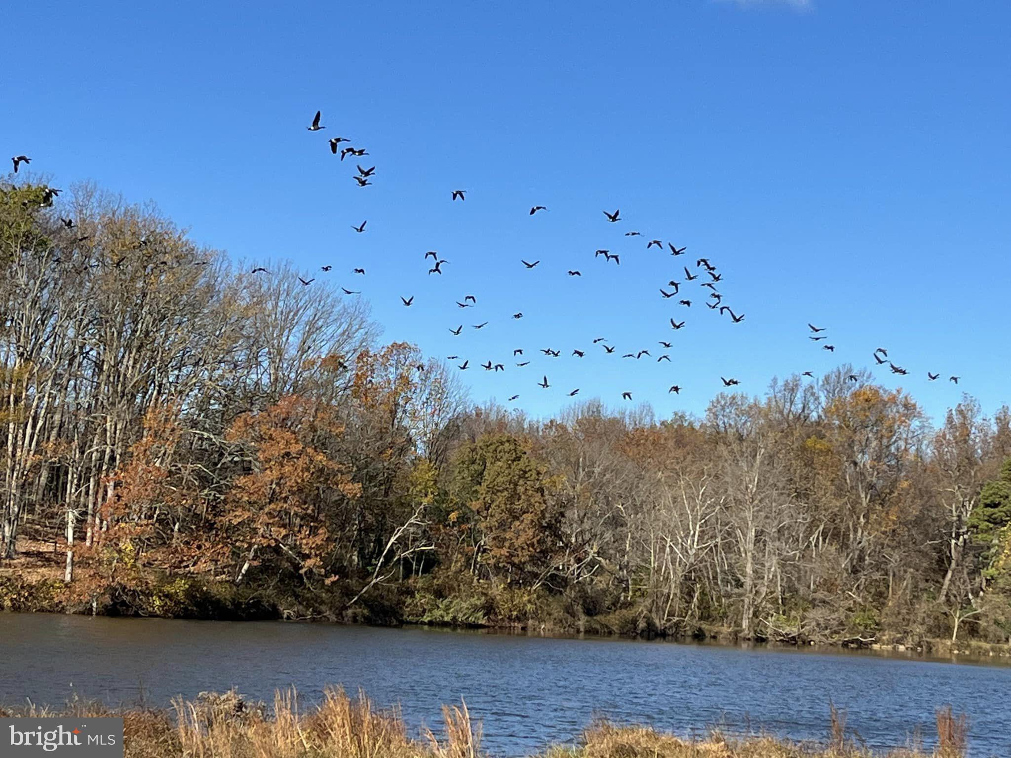STILL POND CREEK - Residential