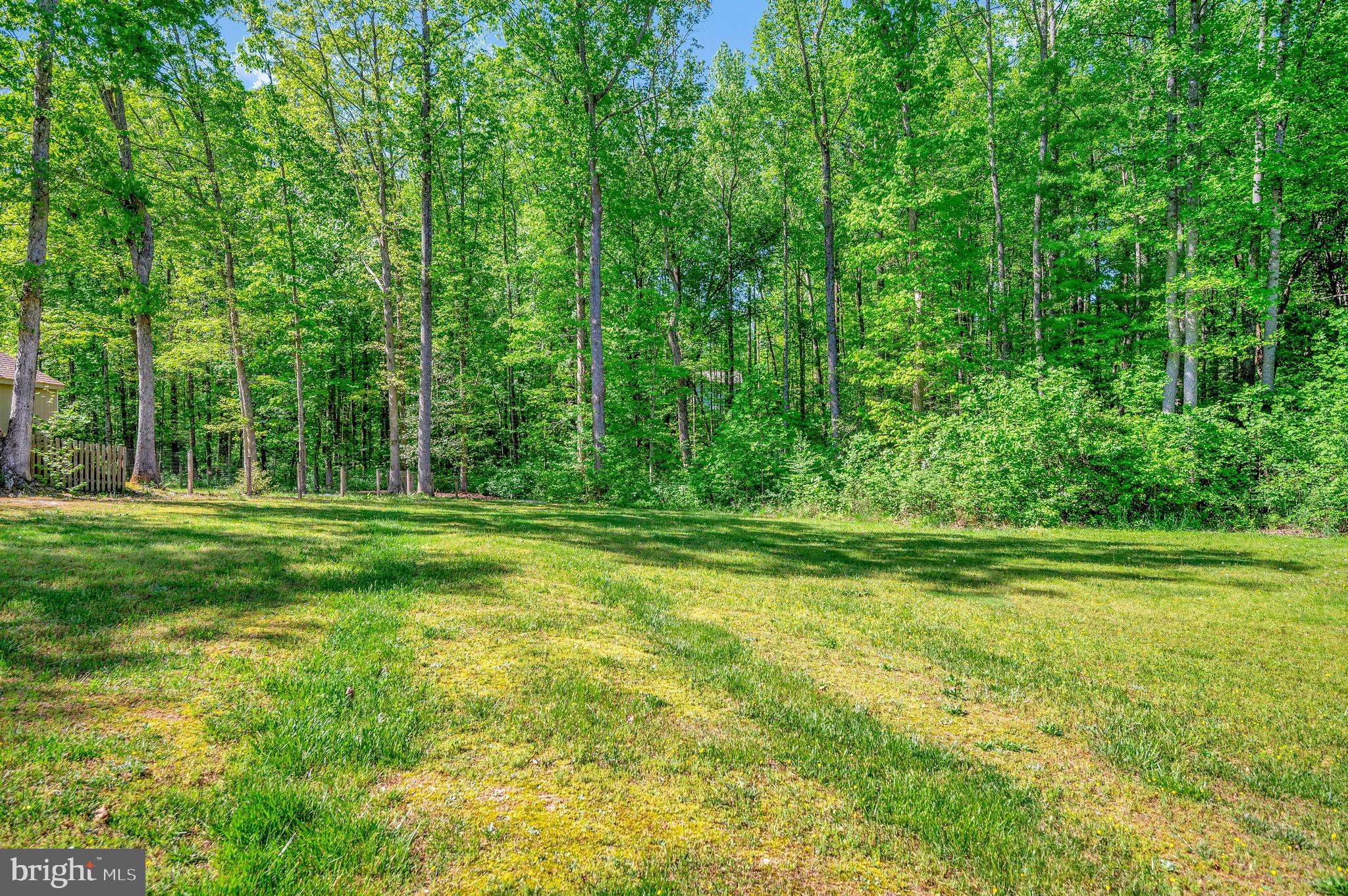 SHADE TREE - Residential Lease