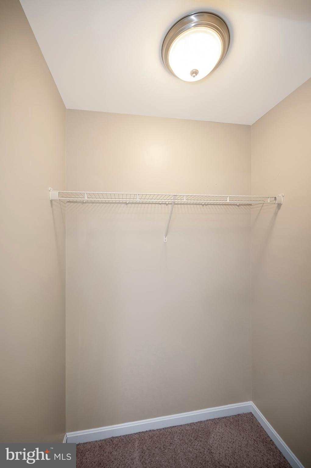 SHADE TREE - Residential Lease