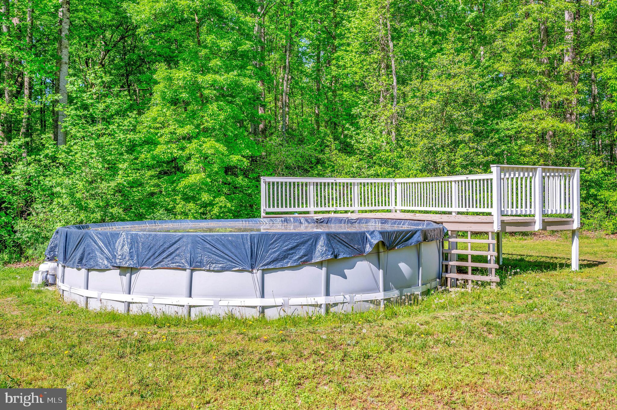 SHADE TREE - Residential Lease