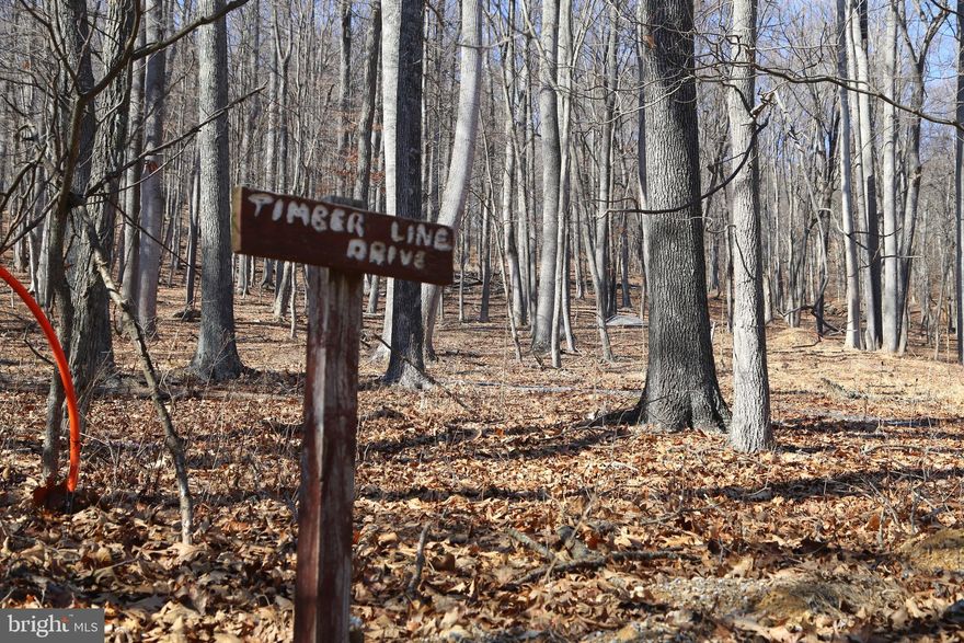 Discover this enchanting wooded parcel nestled in a coveted and quiet neighborhood. With septic installed, electricity already connected to the building site, high speed fiber optic available, and a driveway in place, the groundwork is laid for your dream mountain retreat. Situated close to the peaceful George Washington National Forest and mere minutes from Trout Pond Recreation Area, offering idyllic summer swimming and autumnal hiking. Only a ten-minute drive to the charming restaurants and vibrant farmers markets of Lost River. Venture twenty minutes to Wardensville, a quaint town with inviting shops and cozy cafes. Just a two-hour drive from DC, this property offers a serene escape from the hustle and bustle of city life.