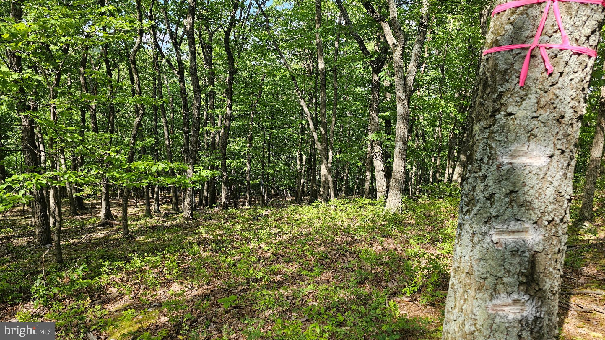 0 DRY RUN RD/ POLECAT HOLLOW RD