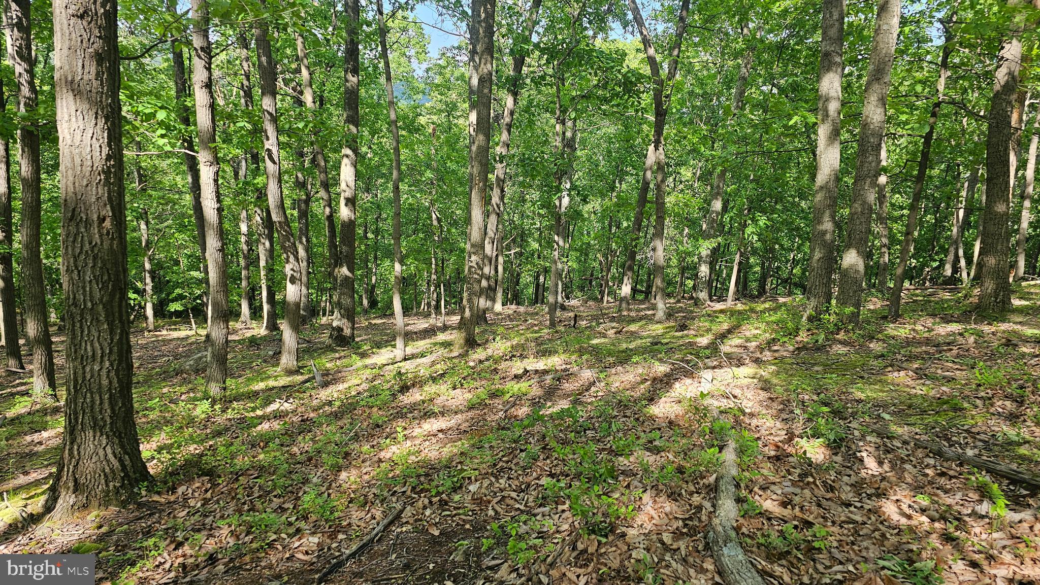 0 DRY RUN RD/ POLECAT HOLLOW RD