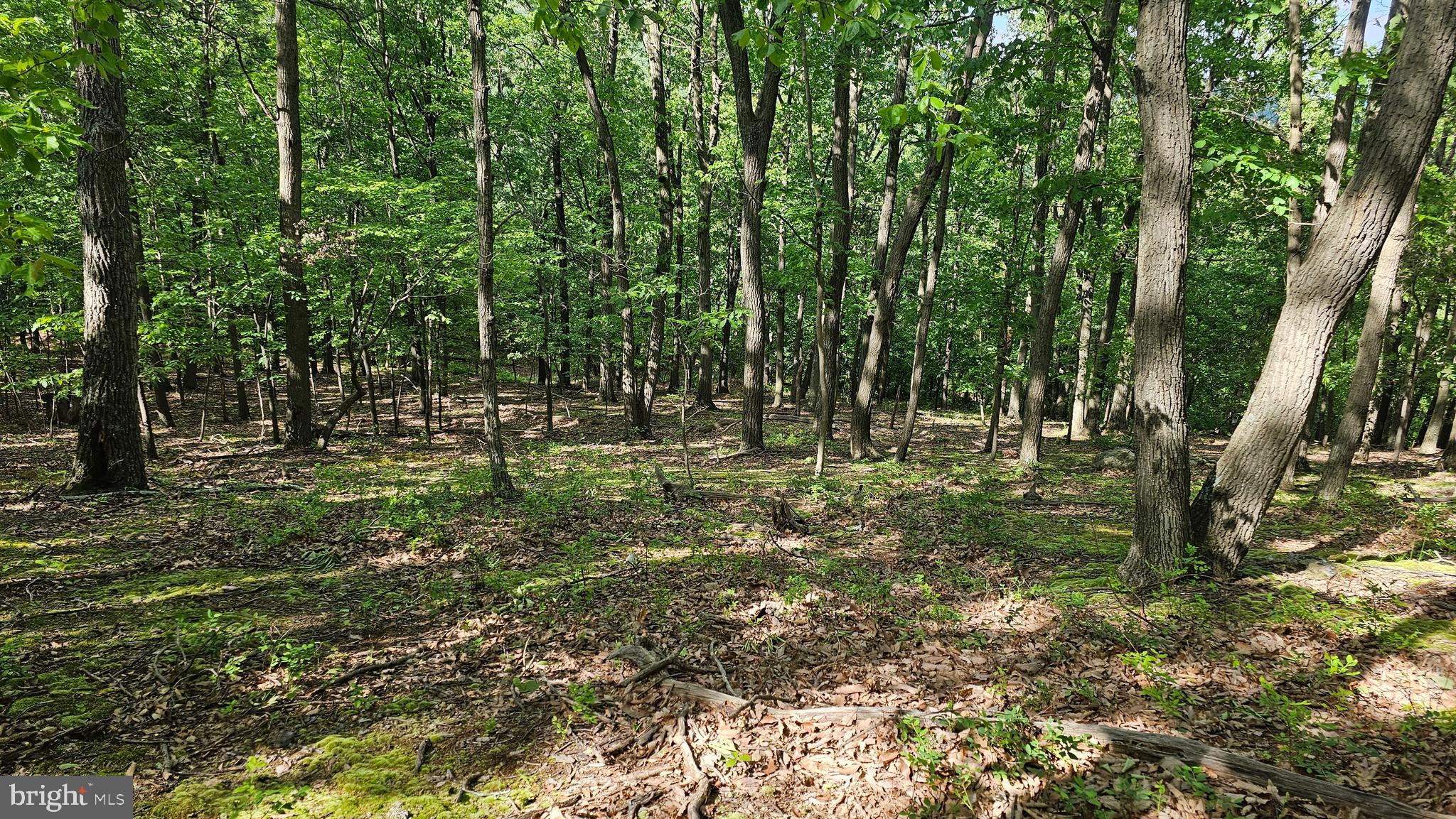 0 DRY RUN RD/ POLECAT HOLLOW RD