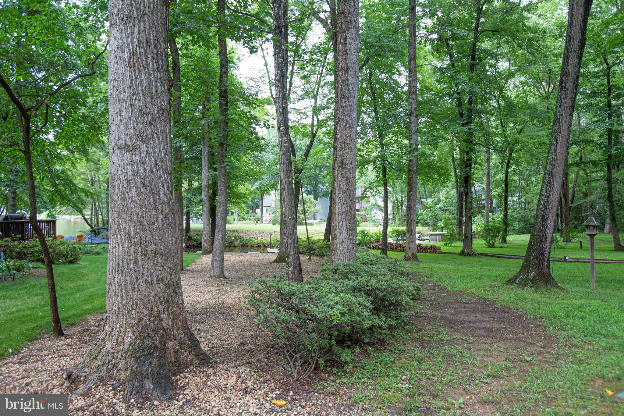 LAKE OF THE WOODS - Residential