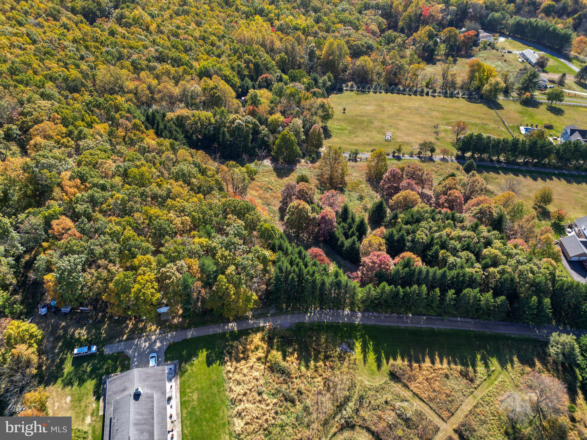 MOSER ROAD