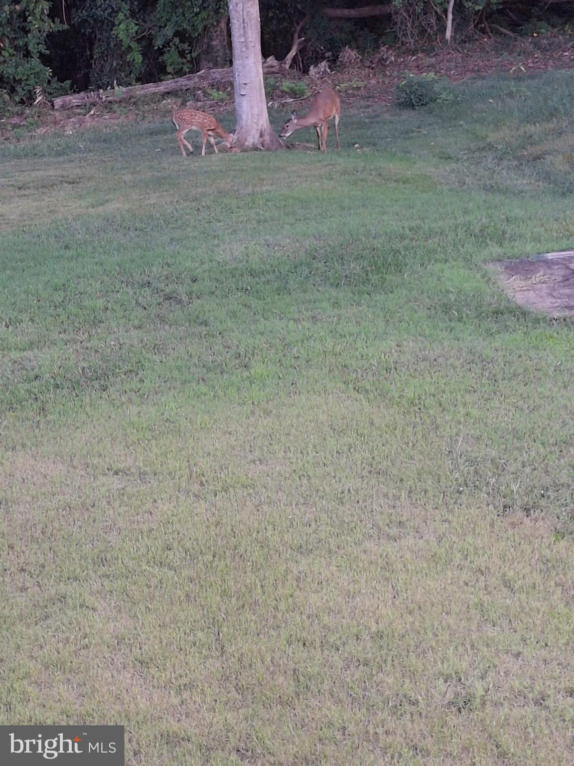 OAK HILL TOWNES - Residential