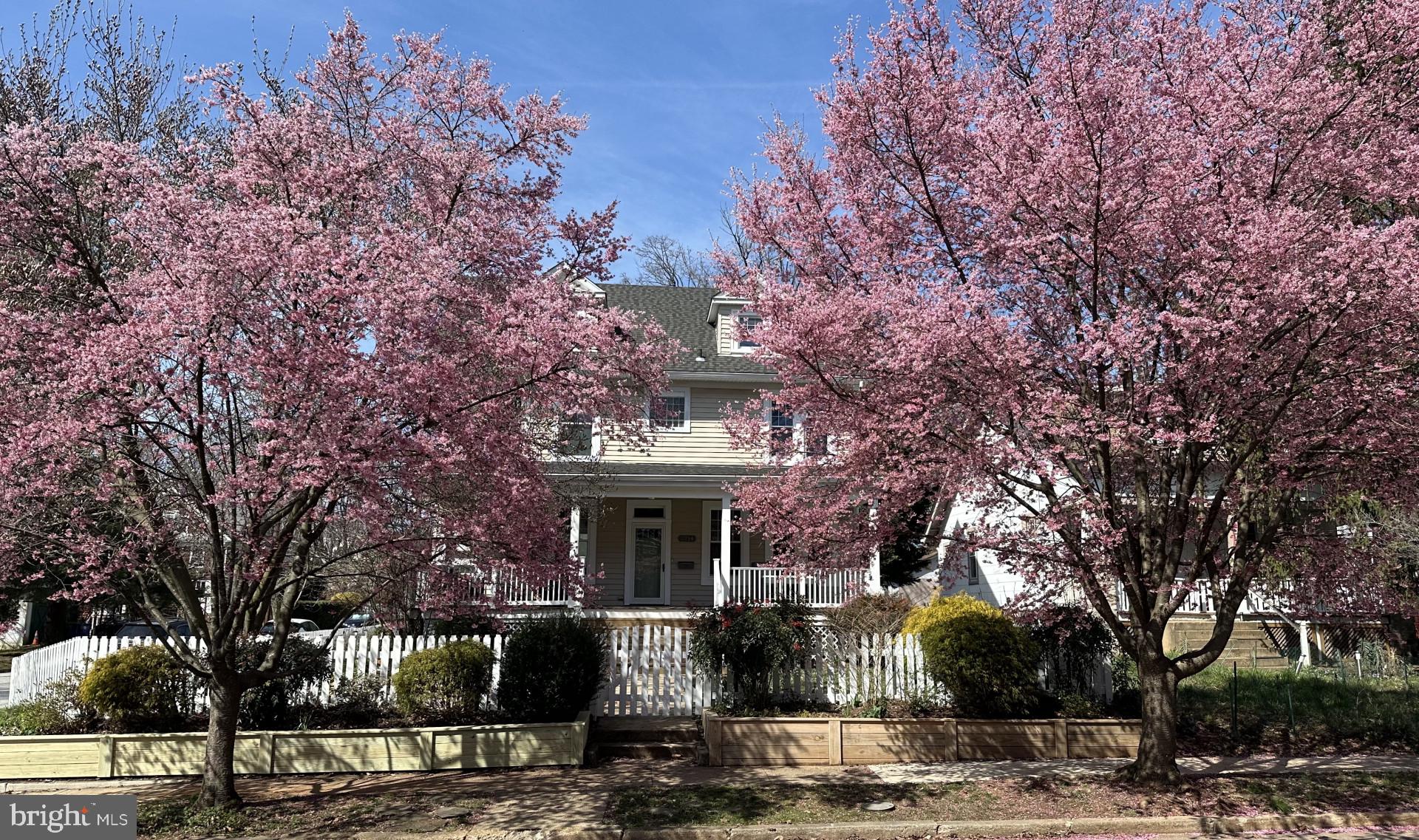 MOUNT WASHINGTON - Residential