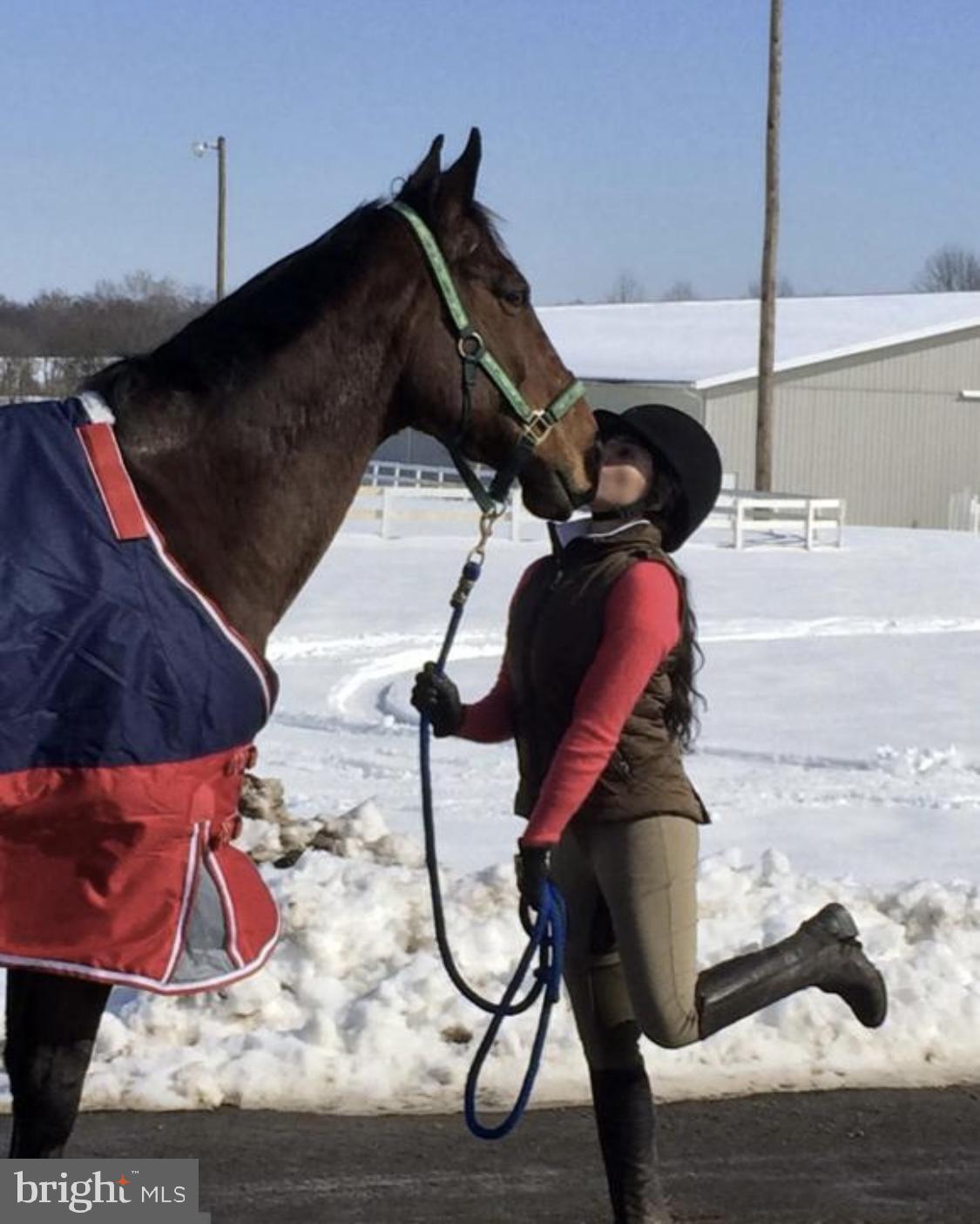 MERRY GO ROUND FARM - Residential