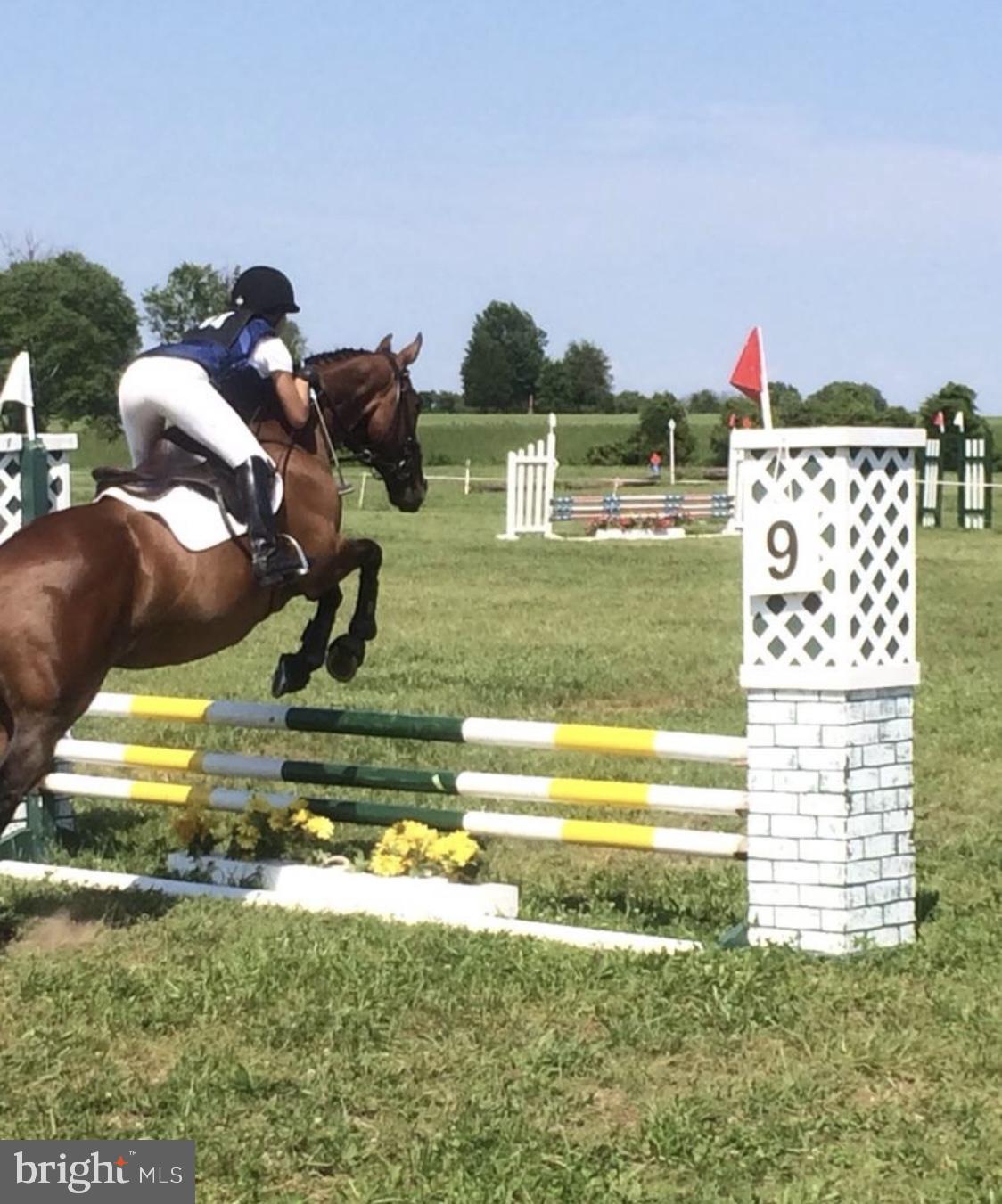 MERRY GO ROUND FARM - Residential