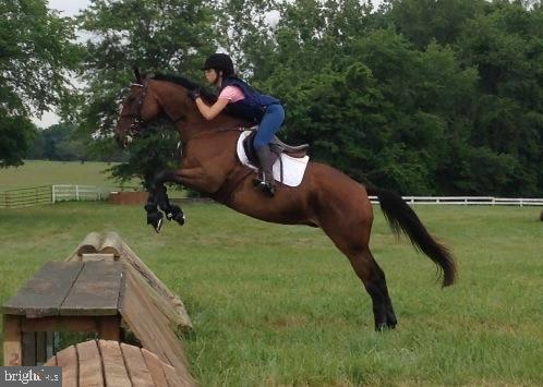 MERRY GO ROUND FARM - Residential