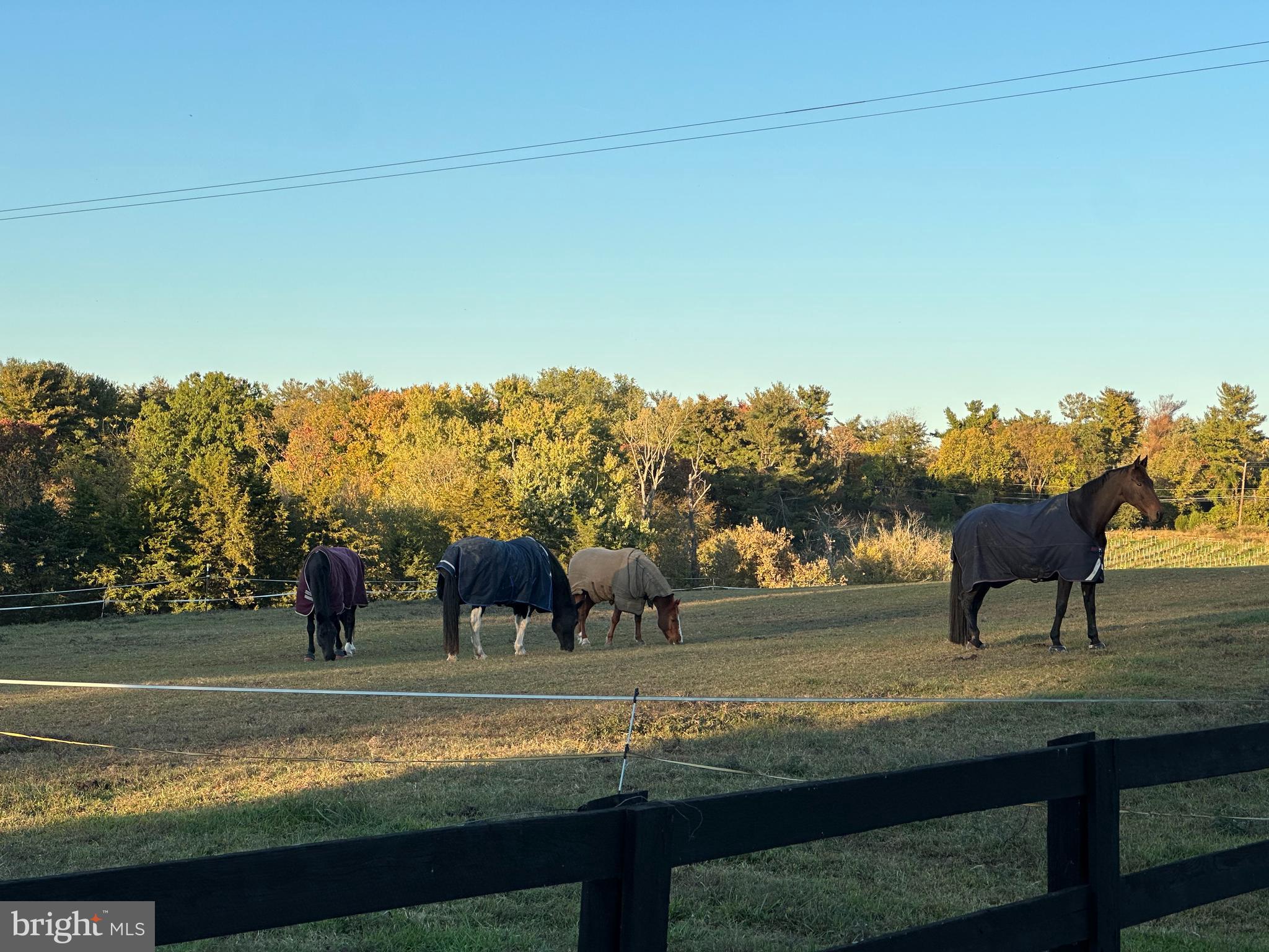 MERRY GO ROUND FARM - Residential