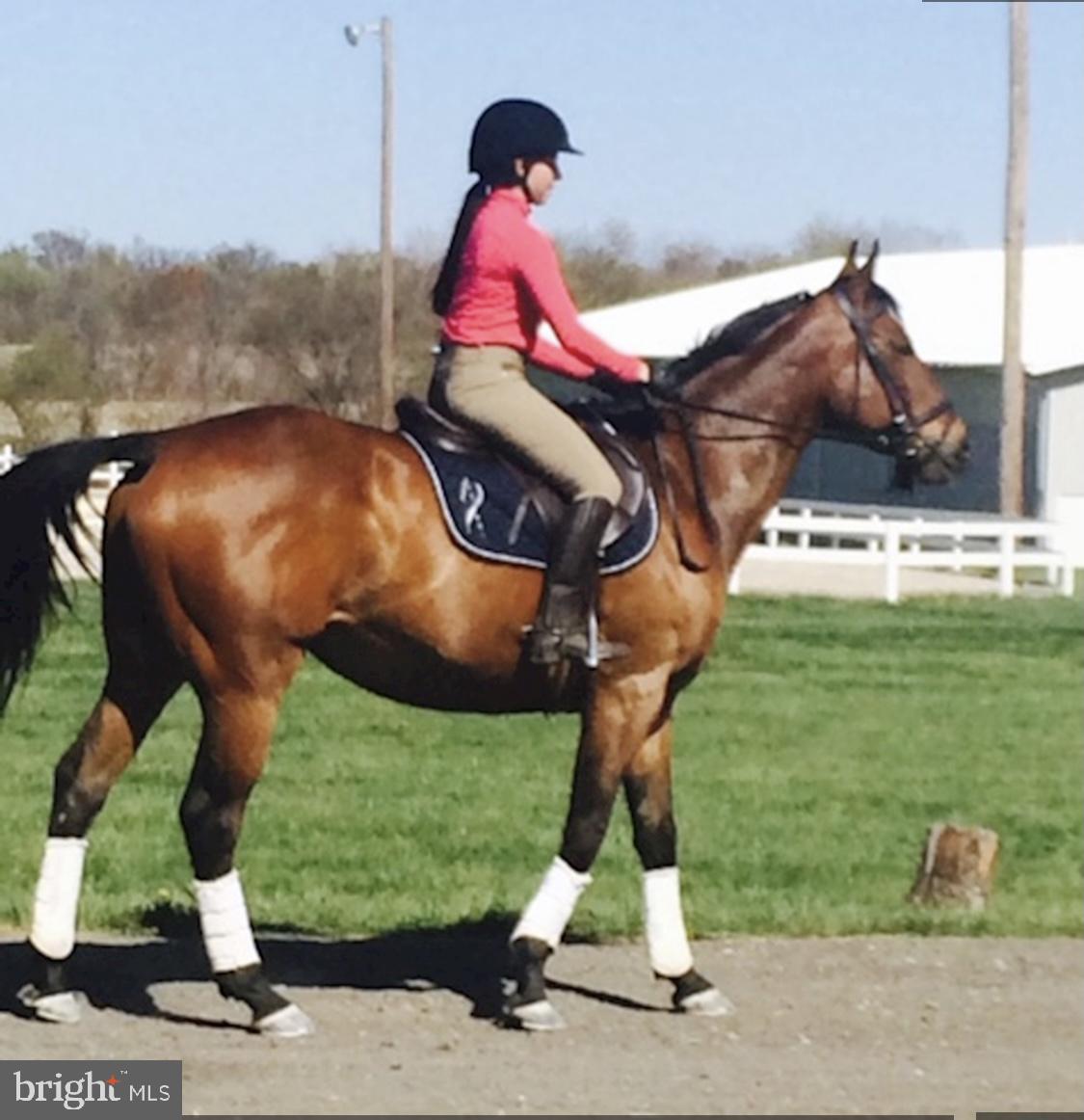 MERRY GO ROUND FARM - Residential