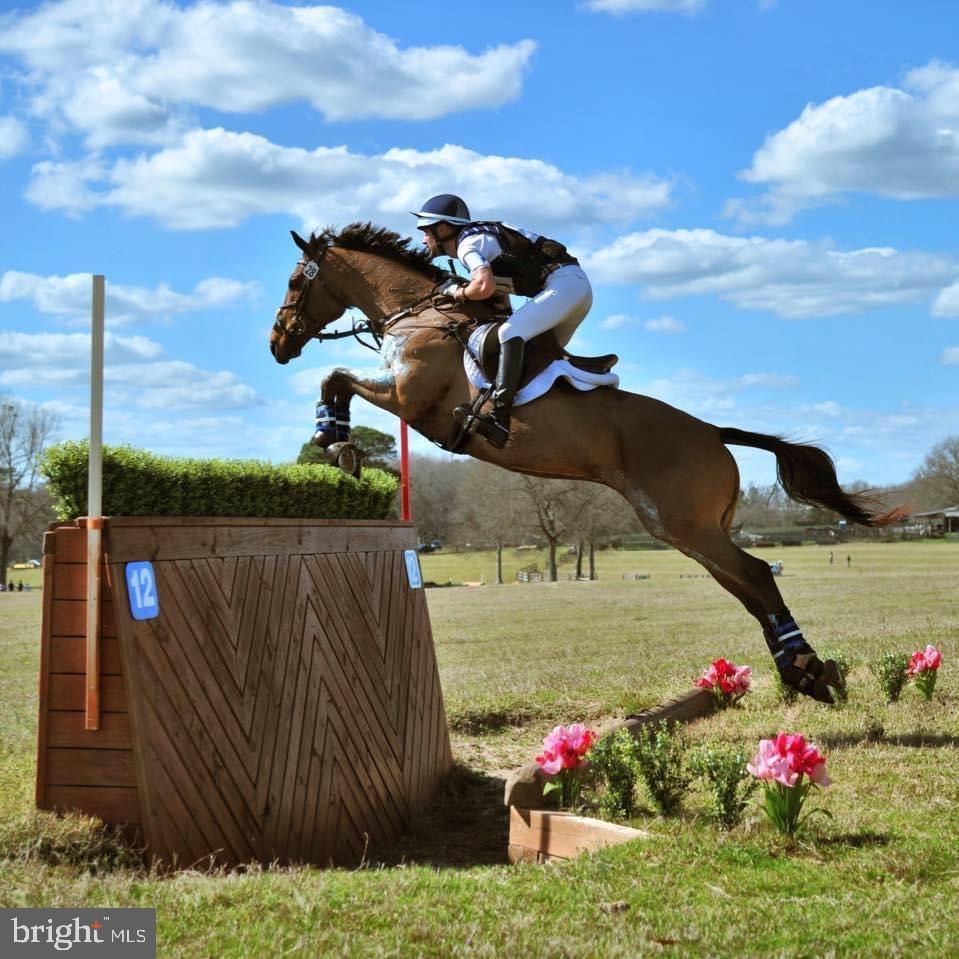 MERRY GO ROUND FARM - Residential