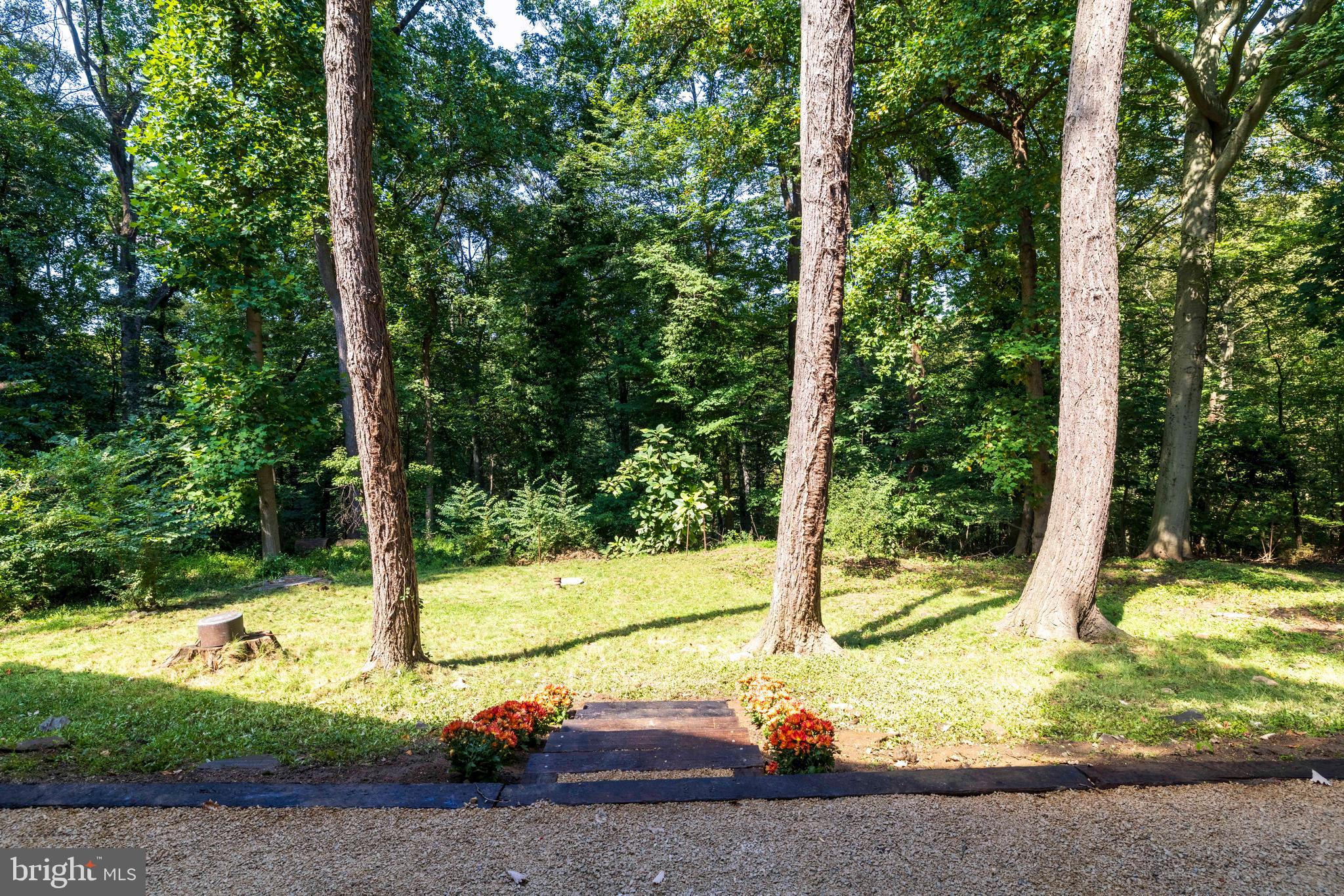 EAST FALLS - Residential