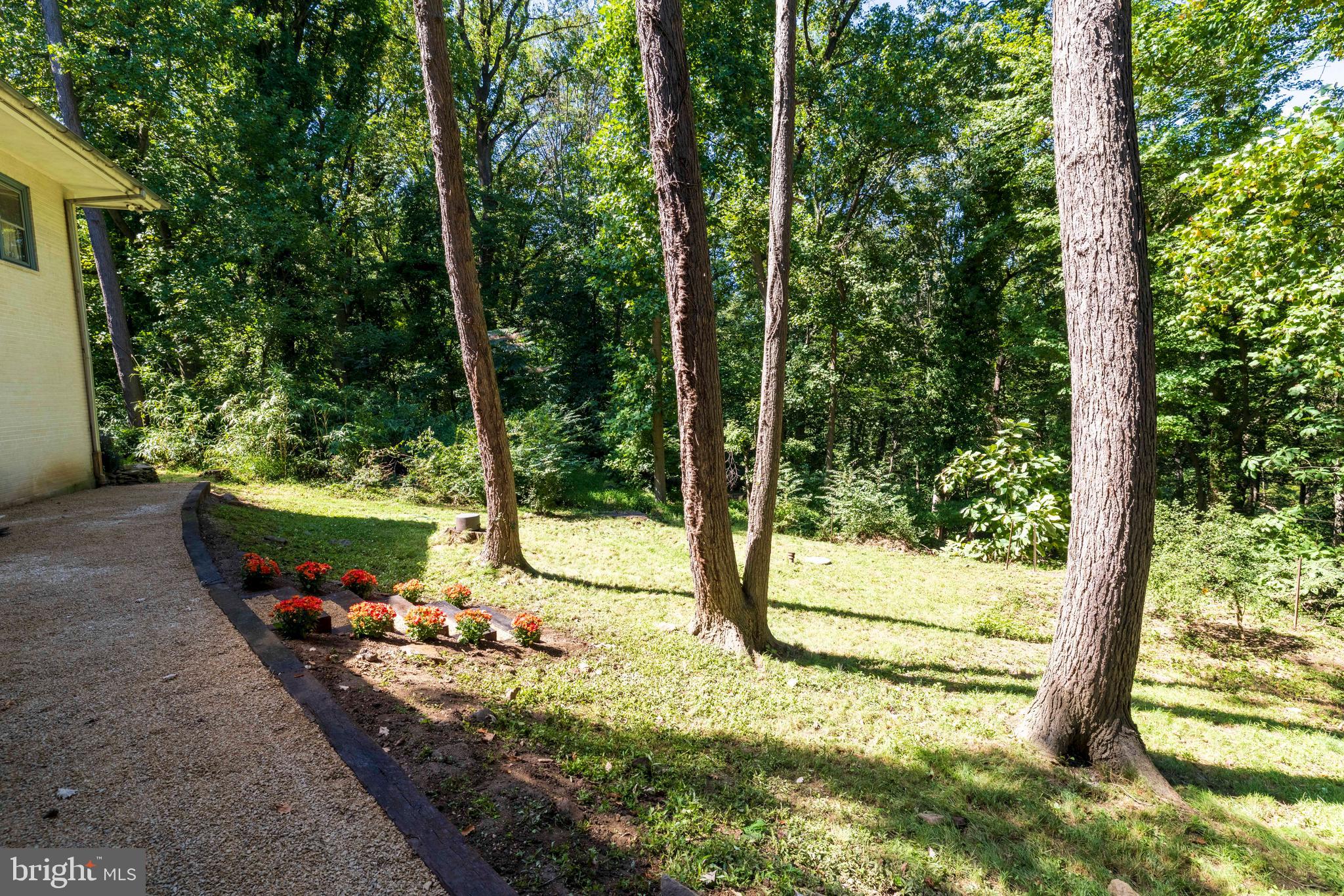 EAST FALLS - Residential