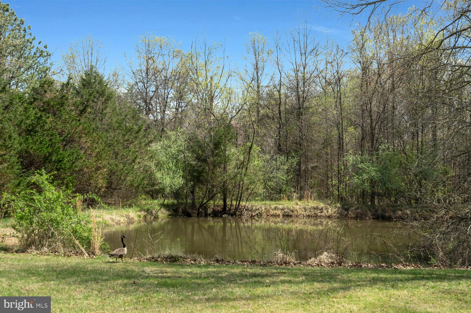 THUNDER OAK - Residential