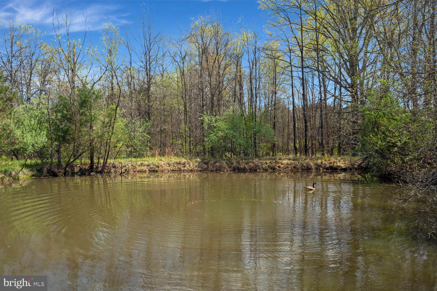 THUNDER OAK - Residential