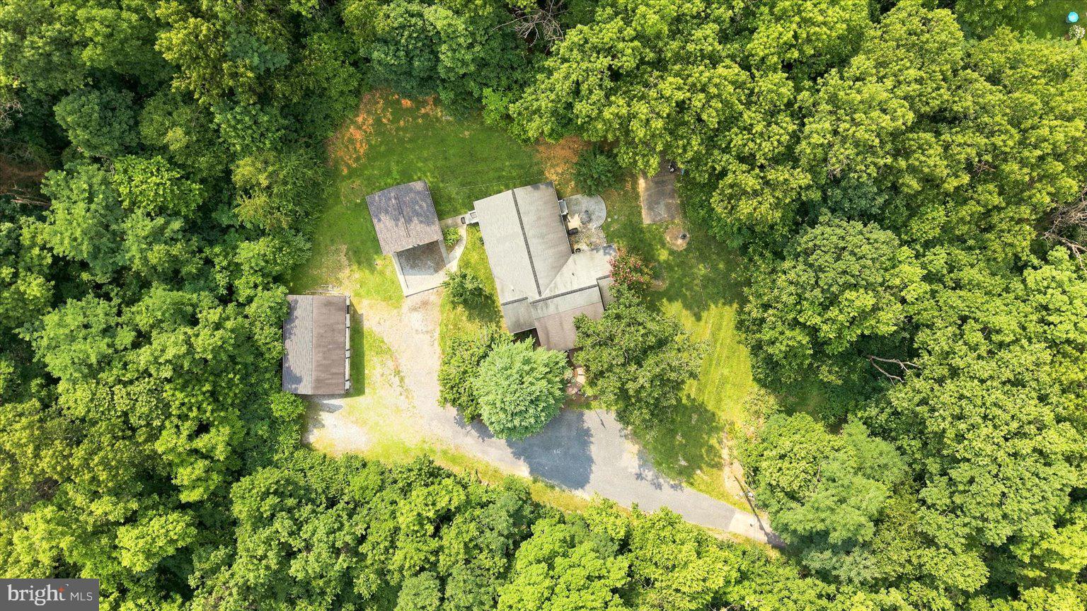 151 SASSAFRAS LANE