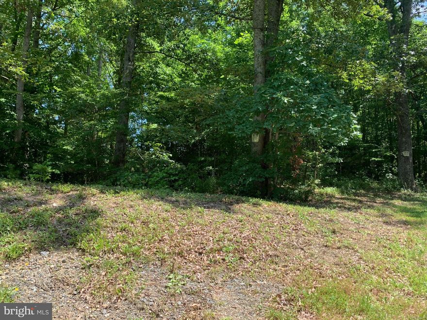 Build your Dream Home or Family Compound here among these 65 private acres of picturesque property with rolling hills, multiple streams/creeks, and trails galore; and a slice of untouched History right here in Stafford County. This is an excellent opportunity to have your own slice of Heaven right here in Stafford County, 22405. The lot is currently divided into 3 parcels(46 85 is 51 Acres, 46 84 is 10 Acres, and 46 84A is 3.45 Acres), but will only be sold as one piece. From the property you can arrive at the VRE within minutes, and is super close to downtown Fredericksburg shopping, dining, and activities. This is a fabulous opportunity! So many options…build your dream home on a huge private lot, create a family compound with PLENTY of space for multiple homes, or subdivide it to sell several lots. Your choice!  Please check with Stafford County to confirm information regarding zoning & development and Utilities. Current zoning is A1. Soil work has been completed and is uploaded to Docs. The property is currently enrolled in the Land Use Assessment program. Opportunity knocks!!