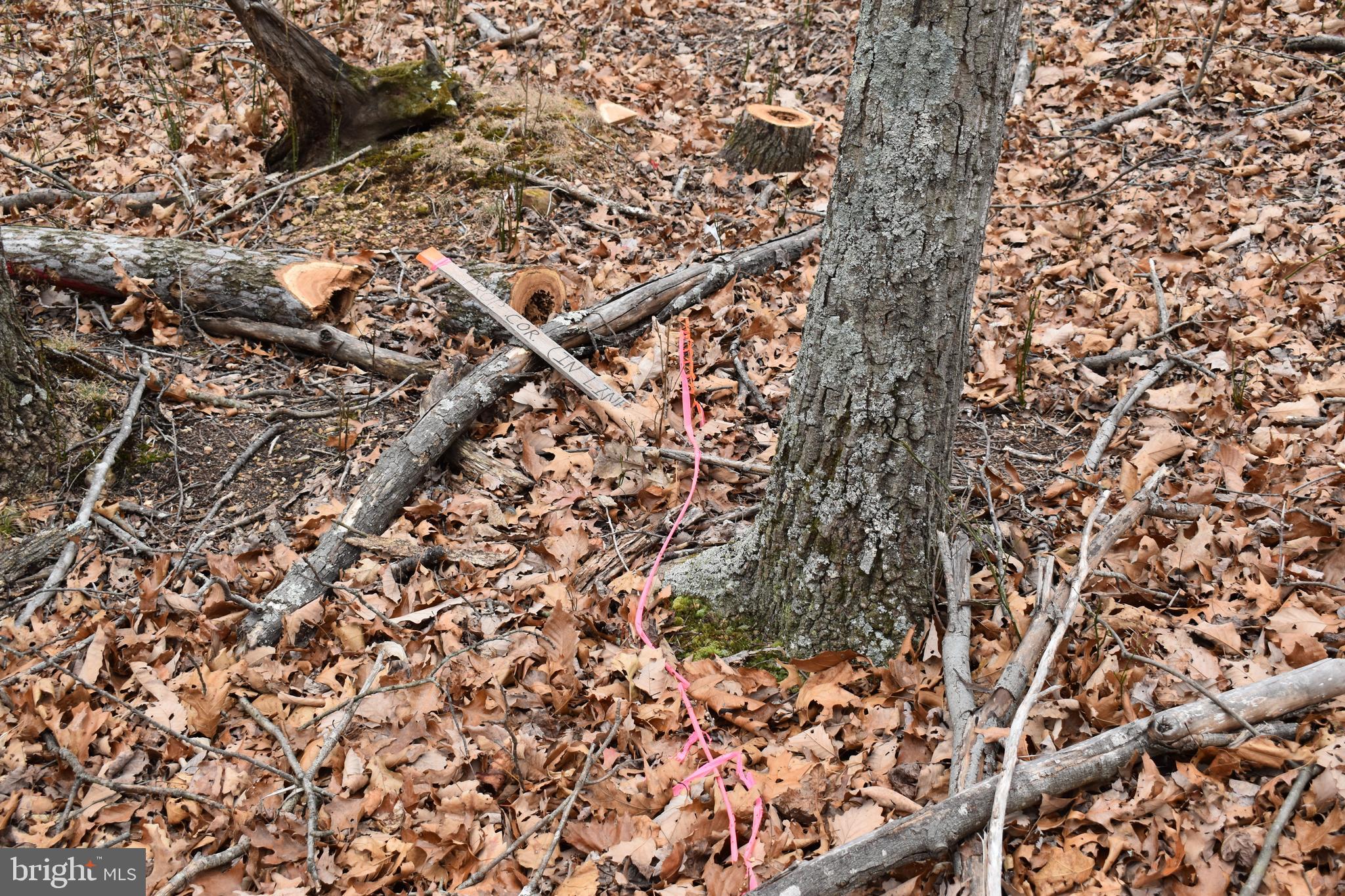COLONIAL VILLAGE - Residential