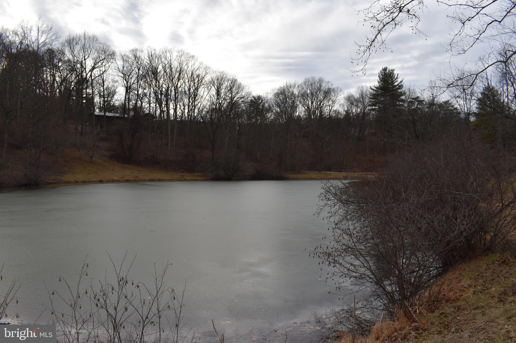 COLONIAL VILLAGE - Residential