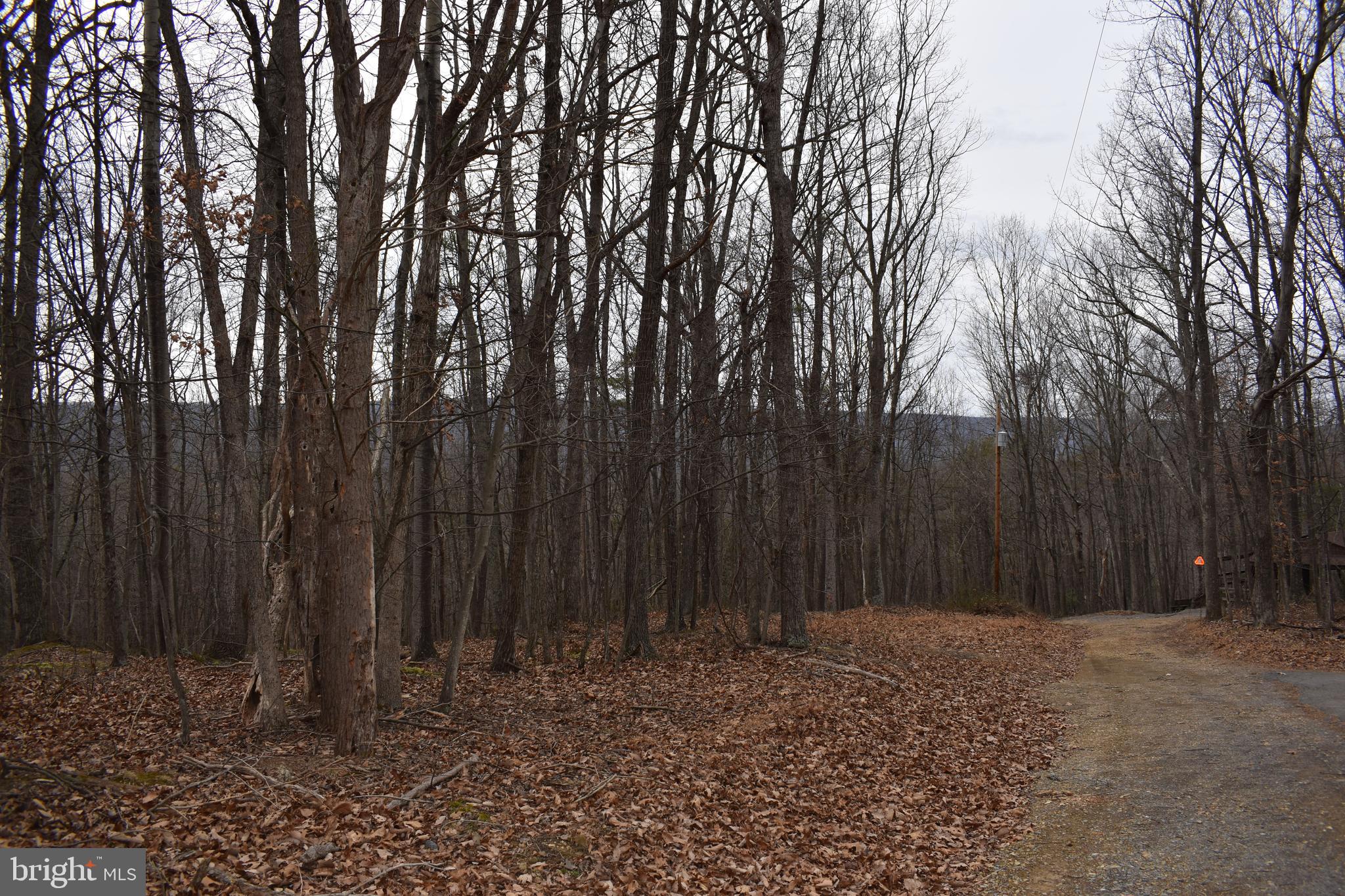 COLONIAL VILLAGE - Residential