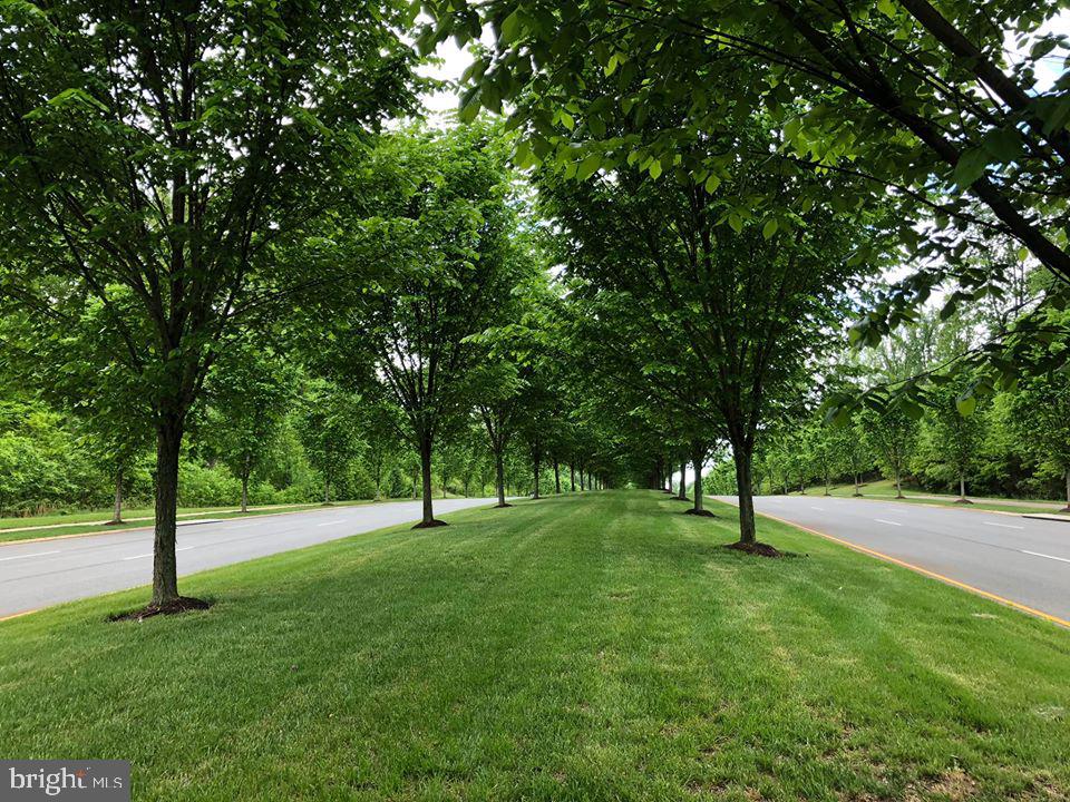 POTOMAC SHORES - Residential