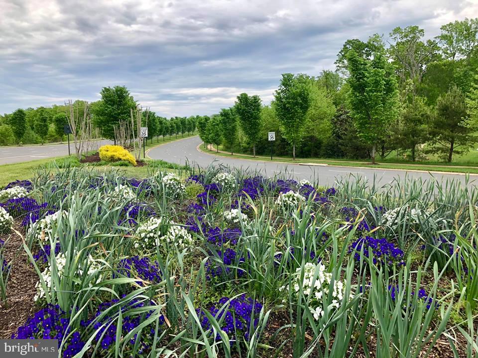 POTOMAC SHORES - Residential