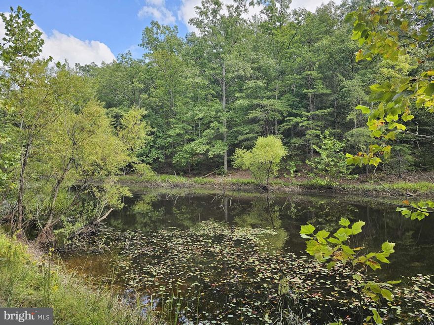Come check out this 1.91 Acre lot in Sleepy Creek Forest. Are you looking to build your forever home, a cabin, or maybe even a weekend getaway to get away from it all this could be the perfect property for you! Bring your fishing poles & enjoy the community pond.